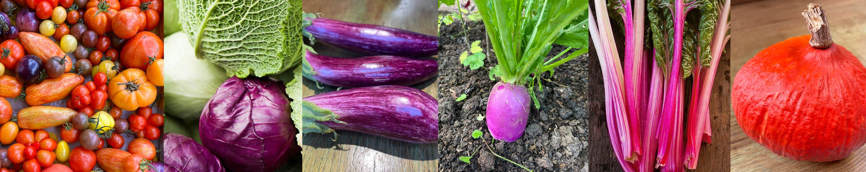 Image of 'SMALL' Vegetable Box