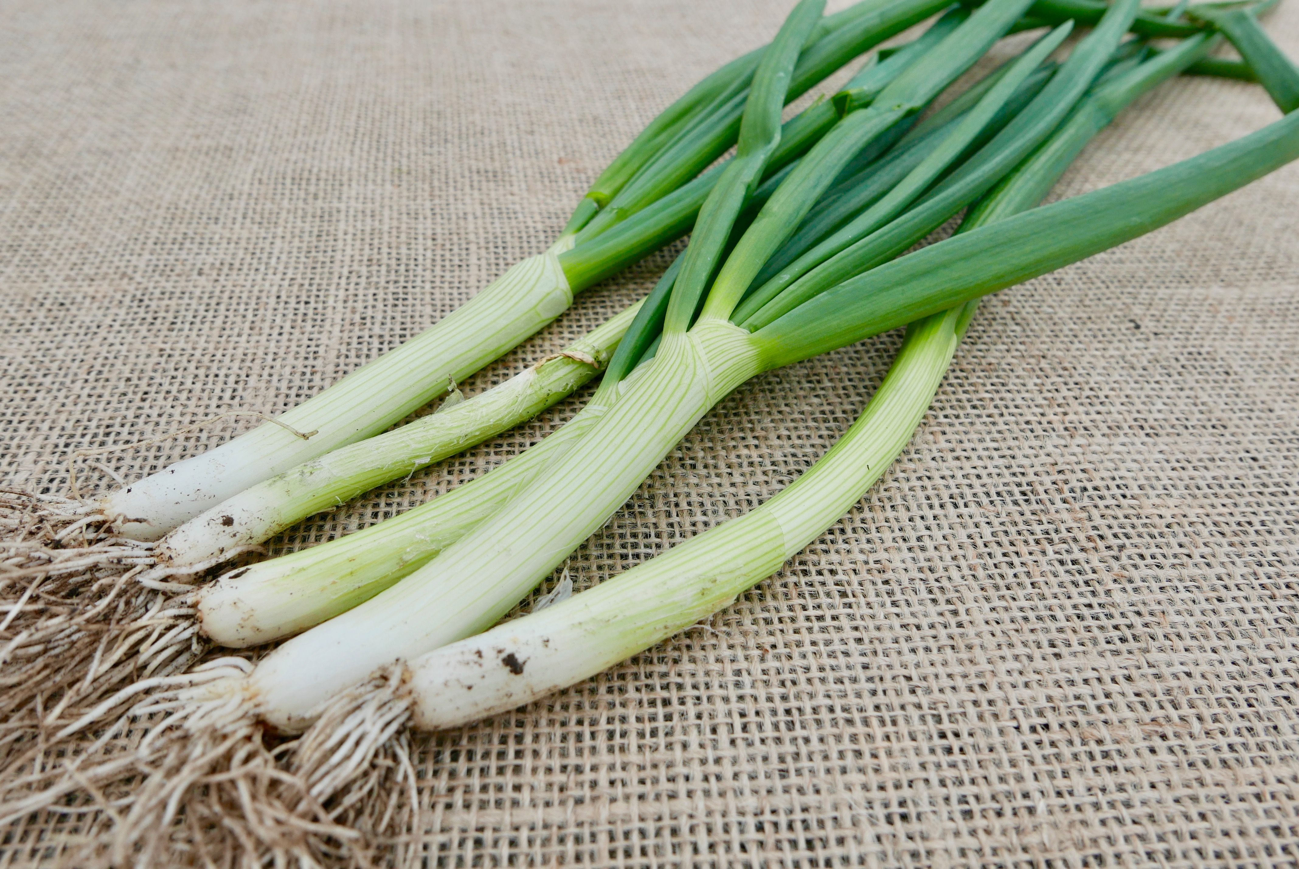 Spring Onions