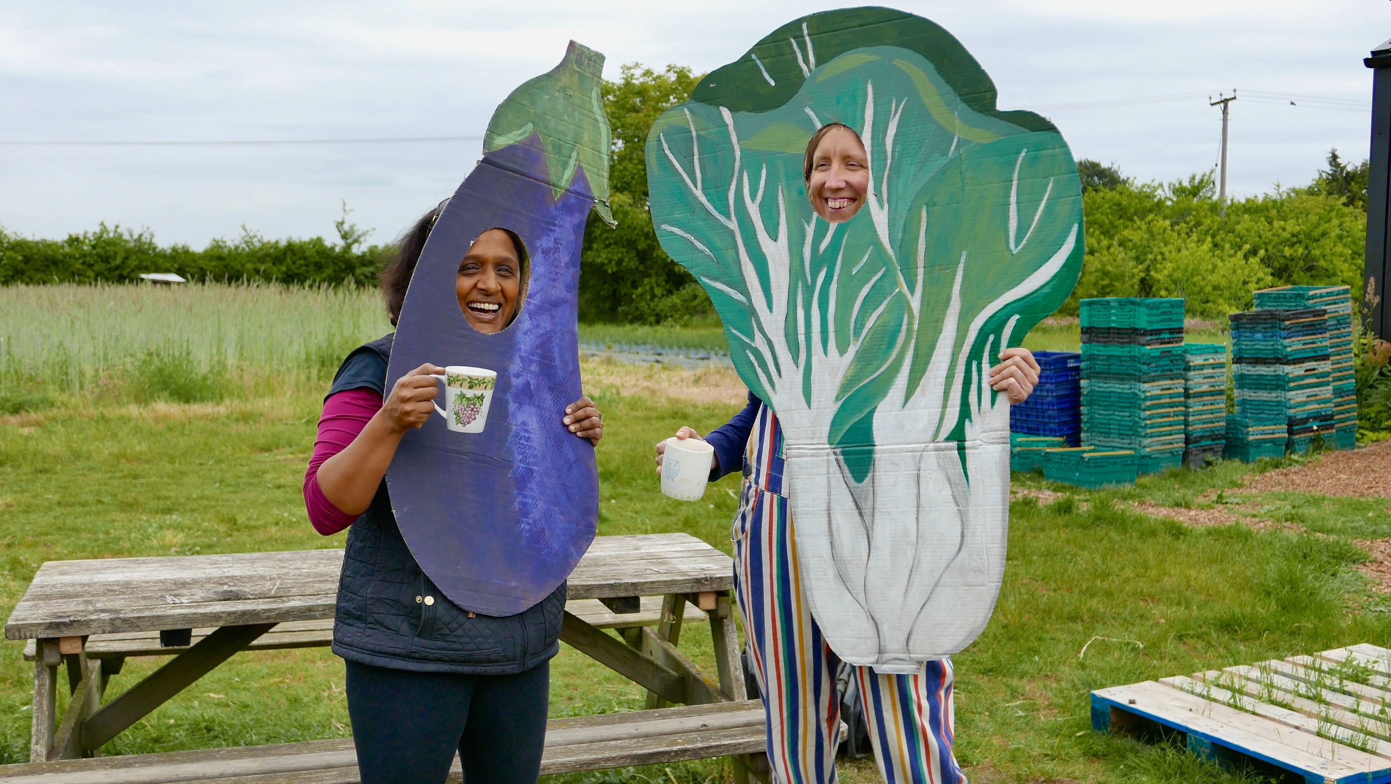 Image of Want to chat?