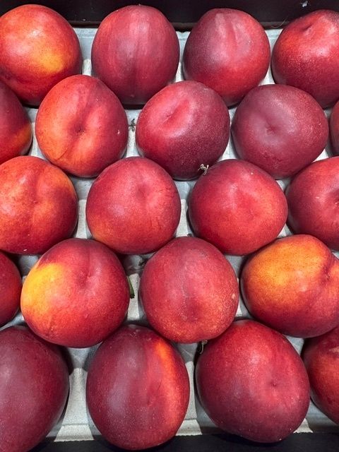 Image of Nectarine