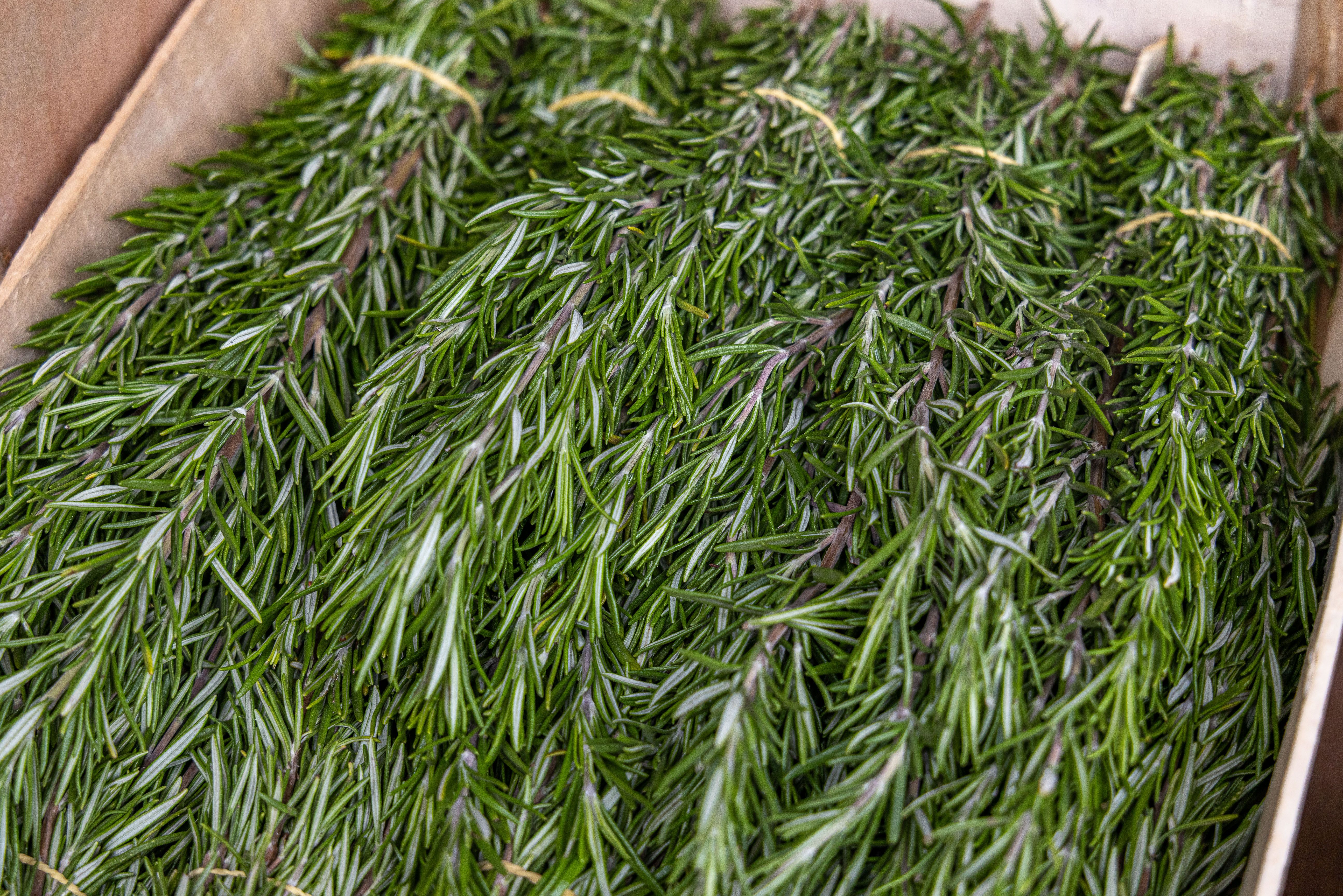 Image of Organic Seasoning Bag