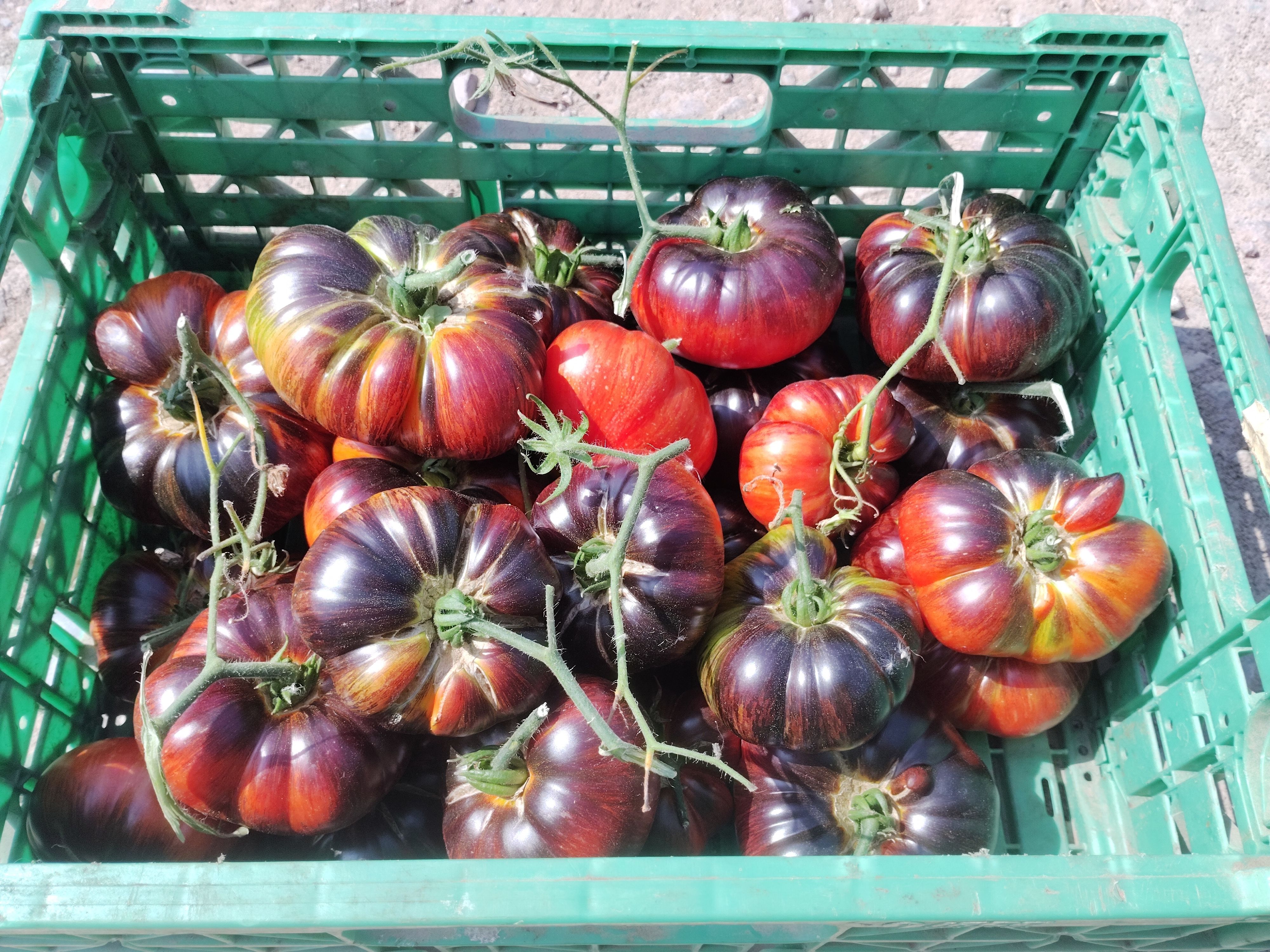 Image of Vegetables