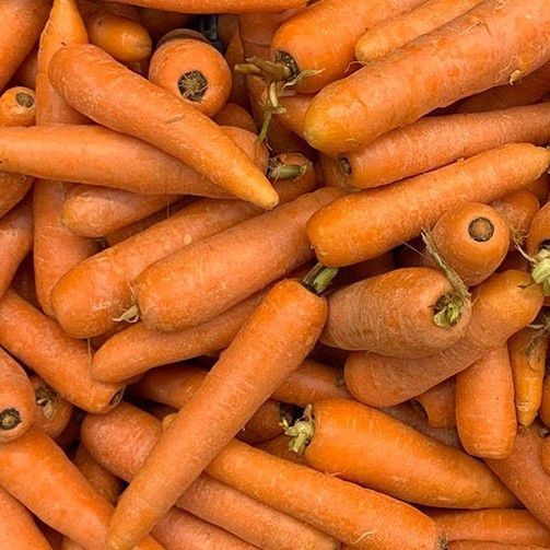 Image of Carrots (Organic) (750g)