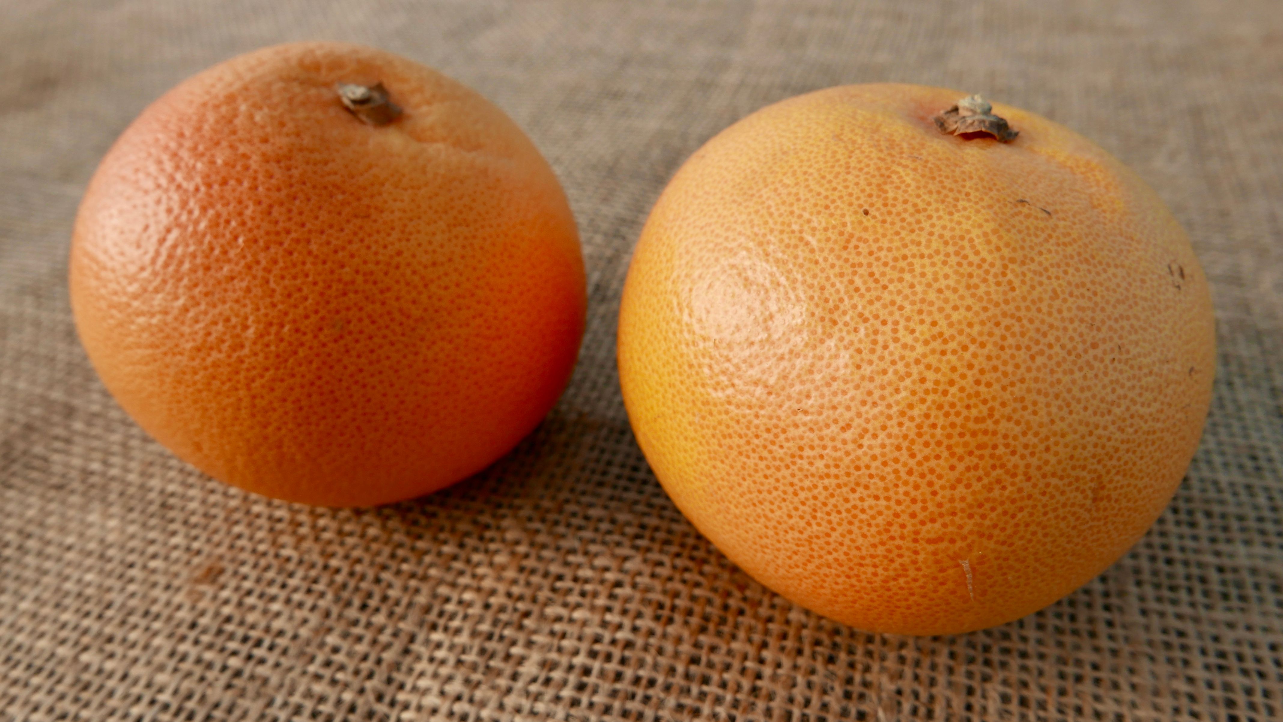 Image of Grapefruit