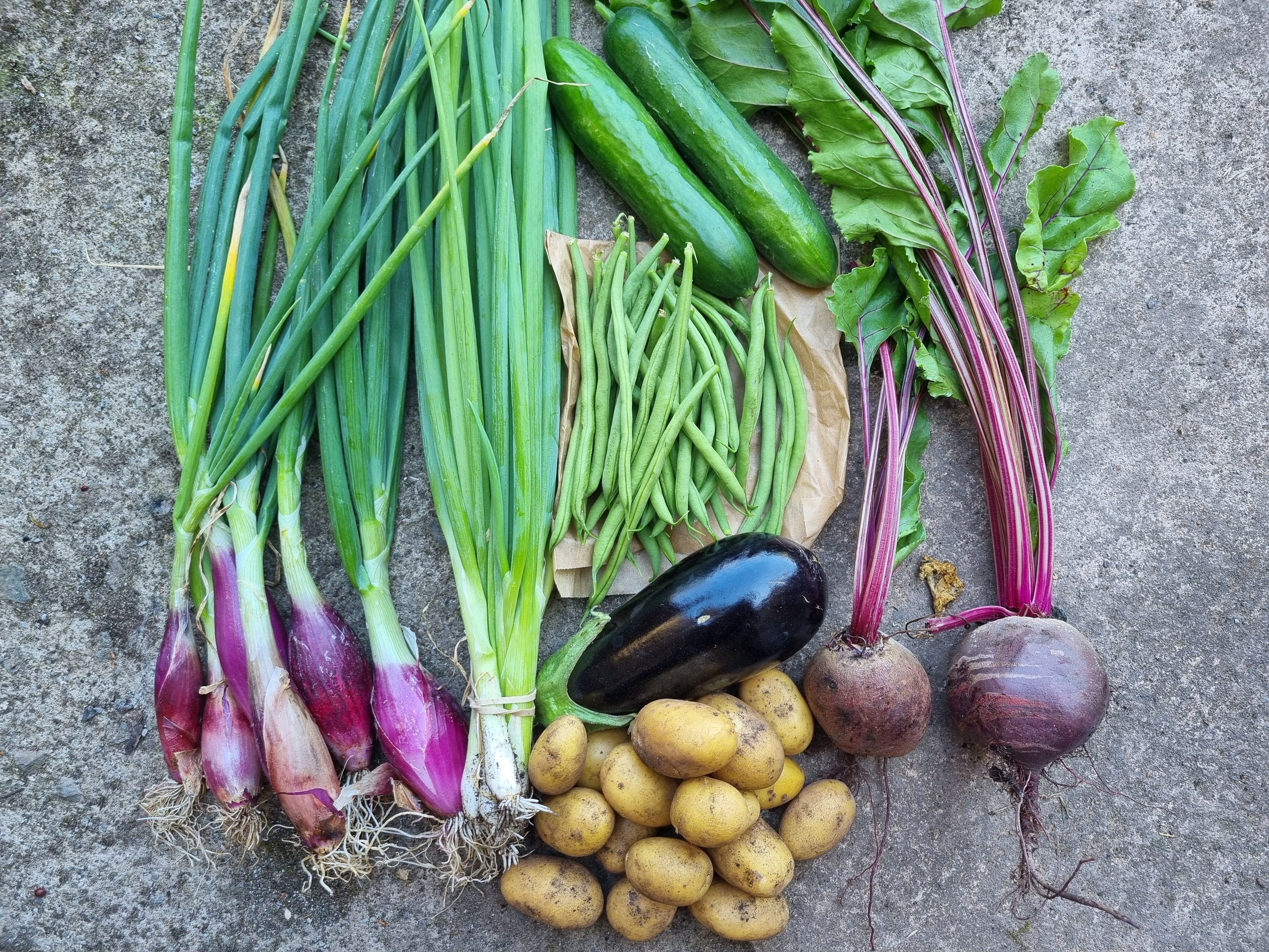 Small Veg Box