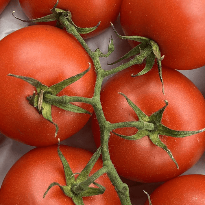 Organic Vine Tomato