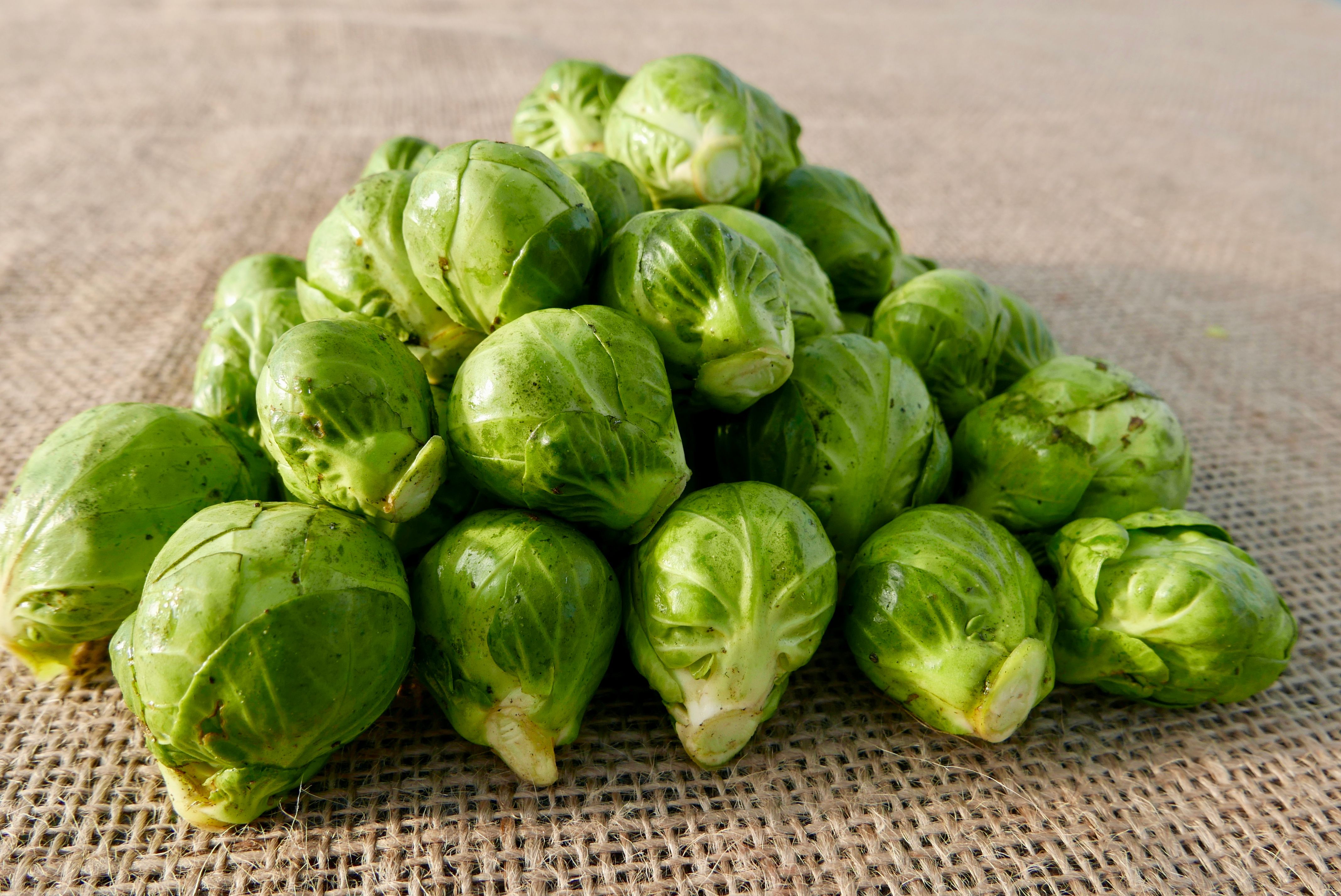 Image of Brussel Sprouts