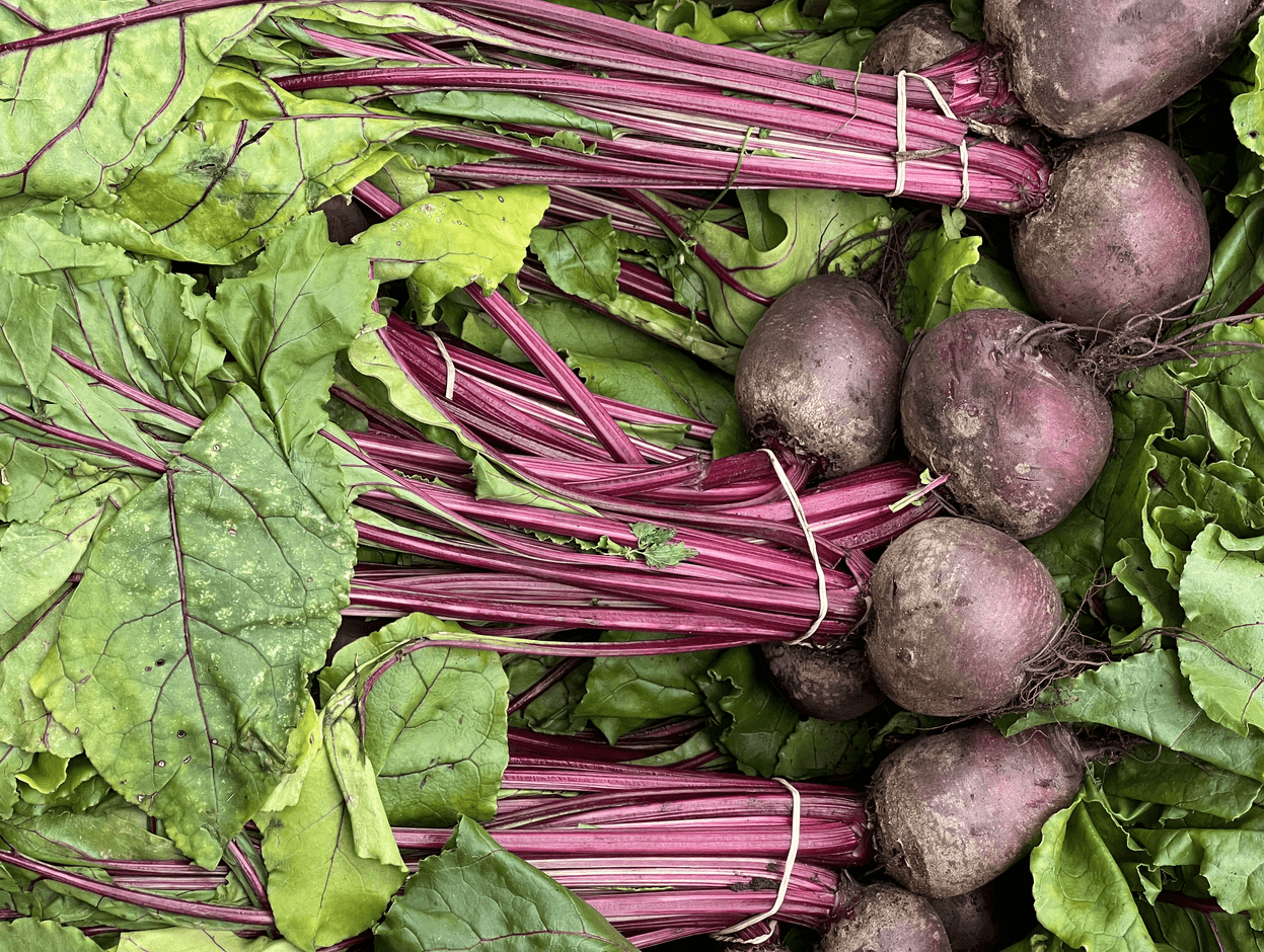 Image of Beetroot and Chocolate Traybake