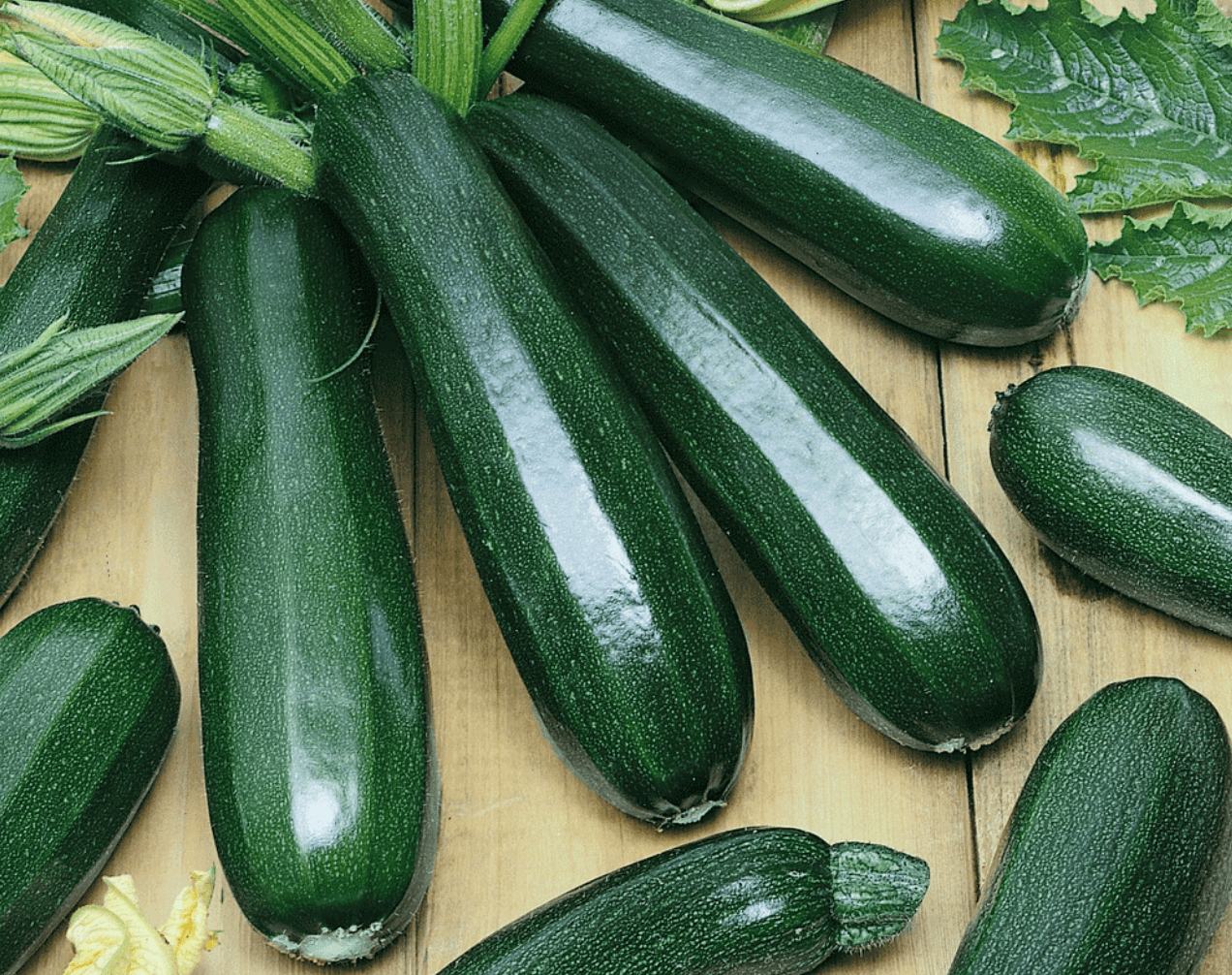 Courgettes [Black Beauty]