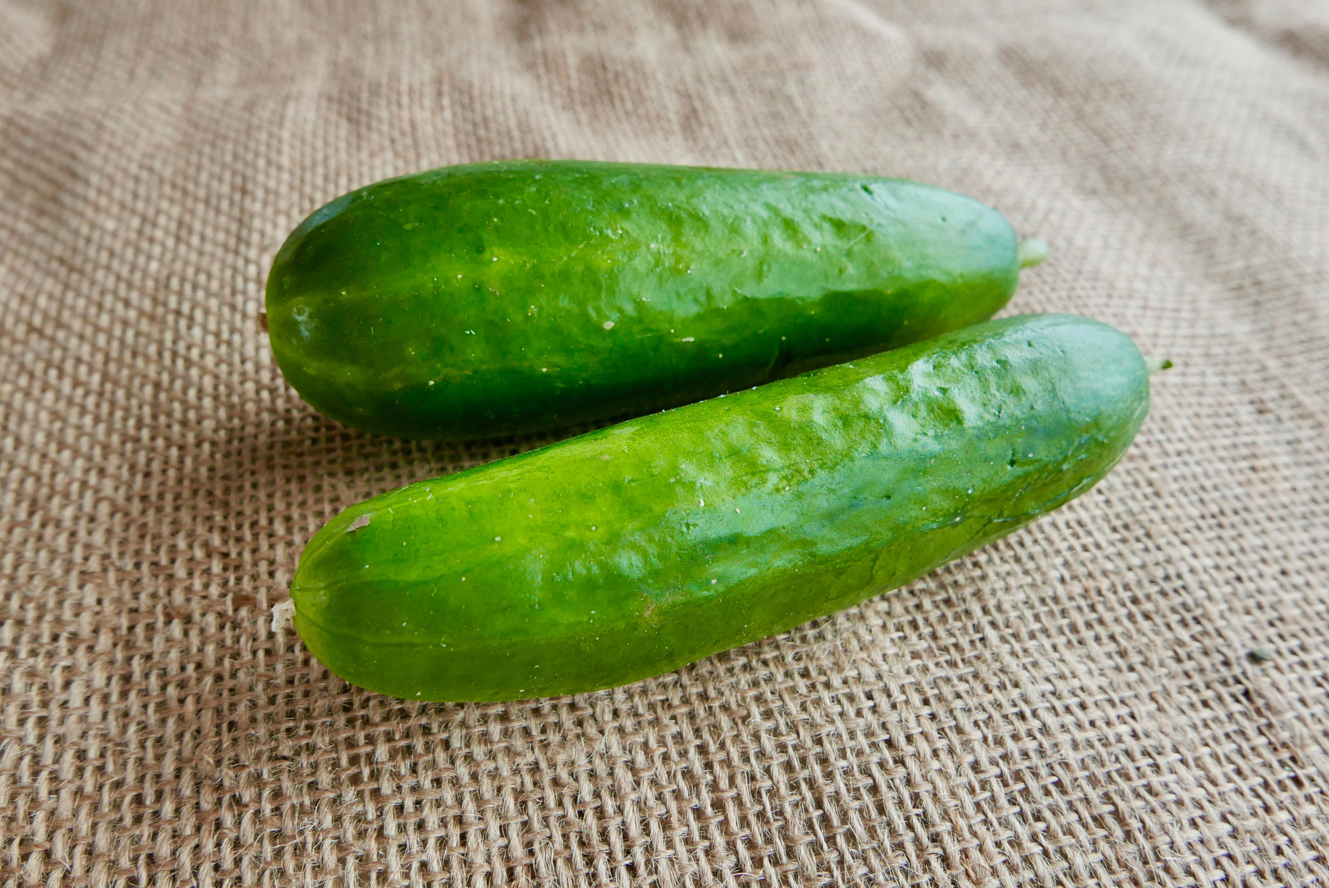 Small Cucumbers