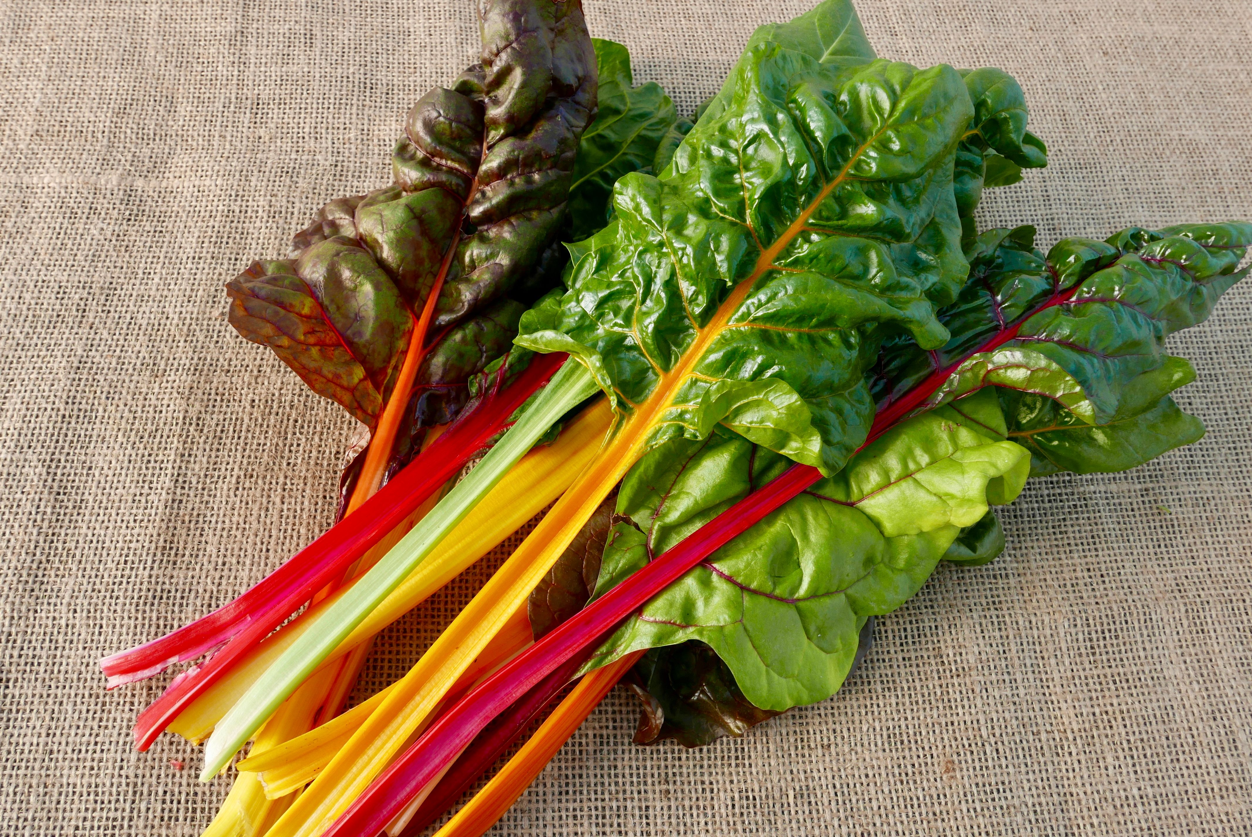 Image of Rainbow Chard