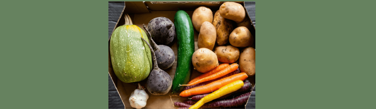 Image of 1 Person Veg Box