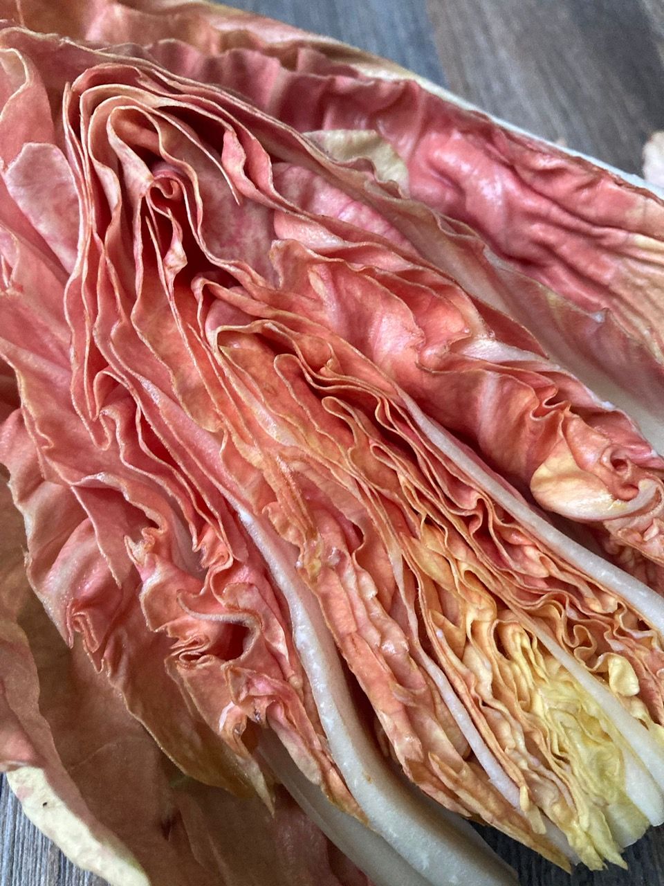 Image of Radicchio Pink