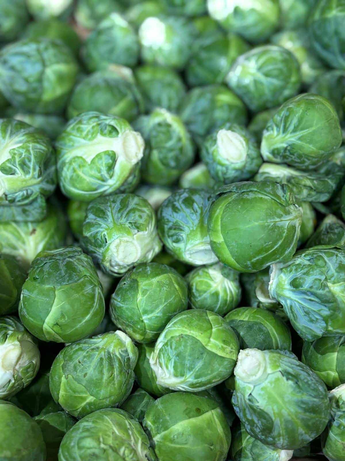 Image of Sprouts