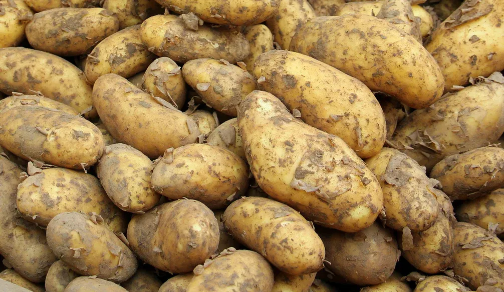 Potatoes