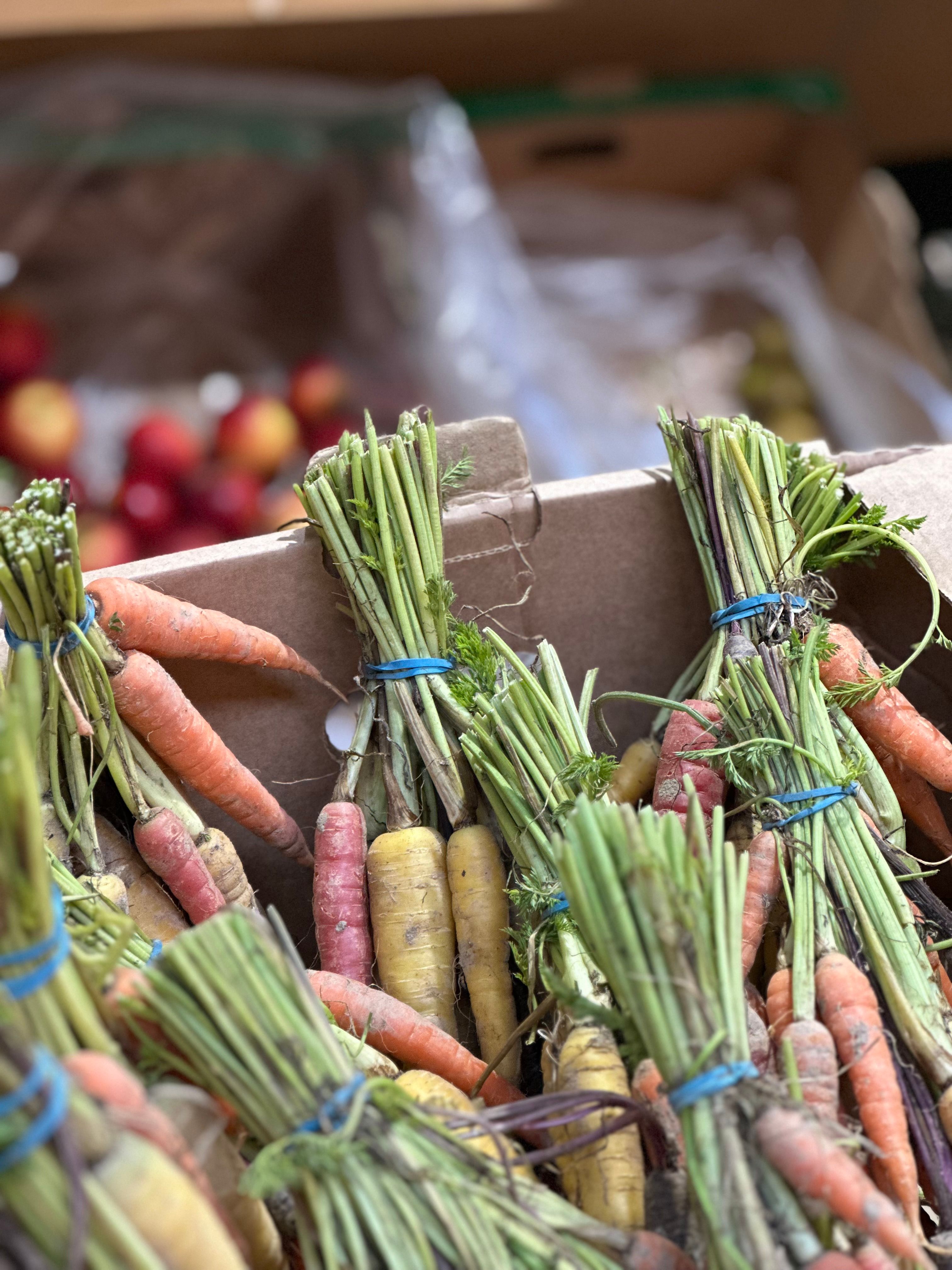 Bunched Carrots