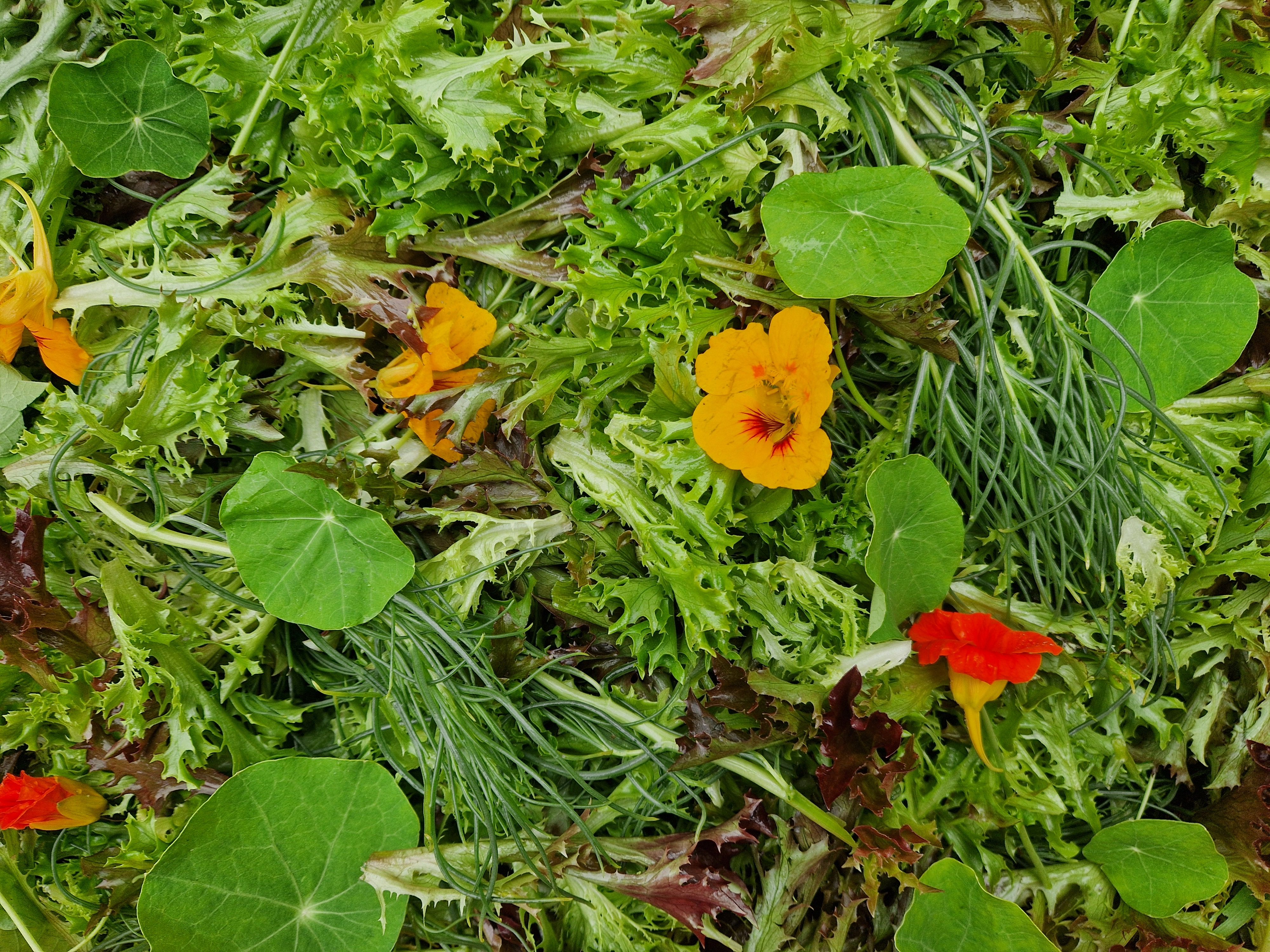 Image of Salad Bag Large