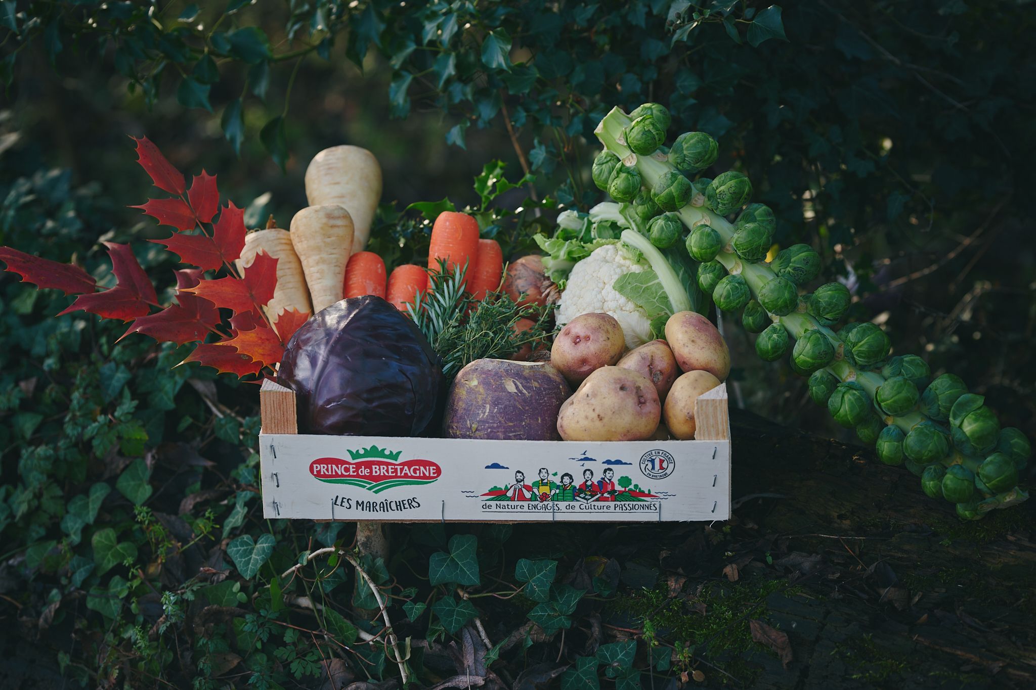 Image of Signature Medium Christmas Box