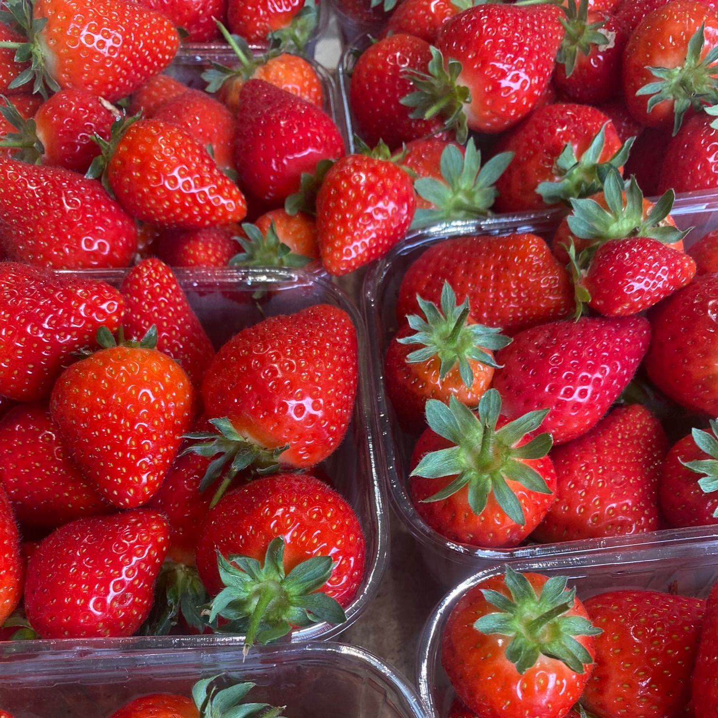 Strawberries
