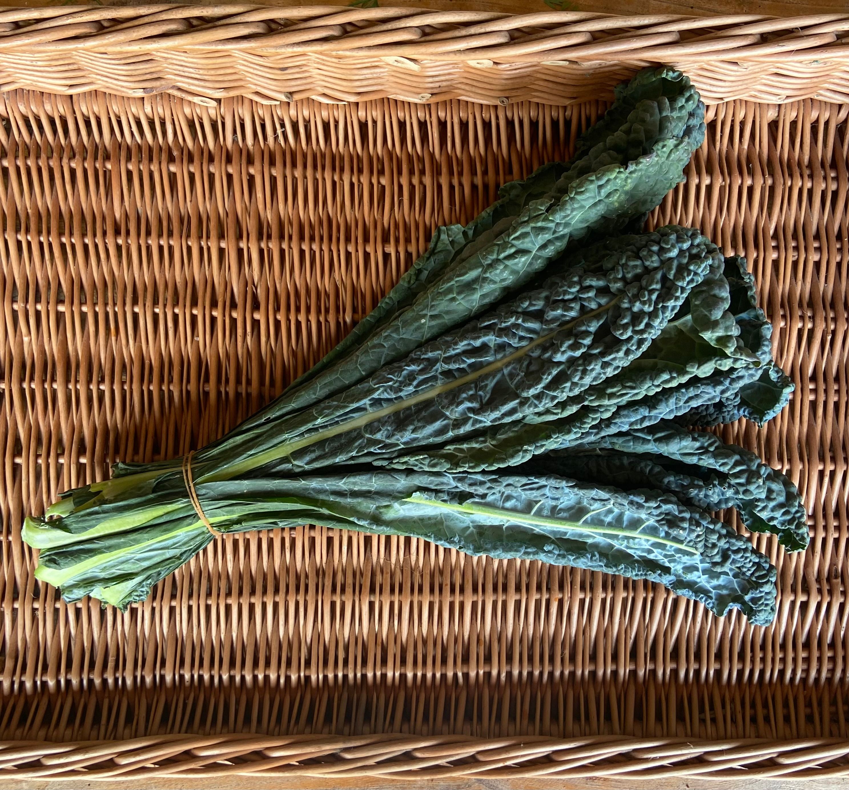Cavolo Nero Kale