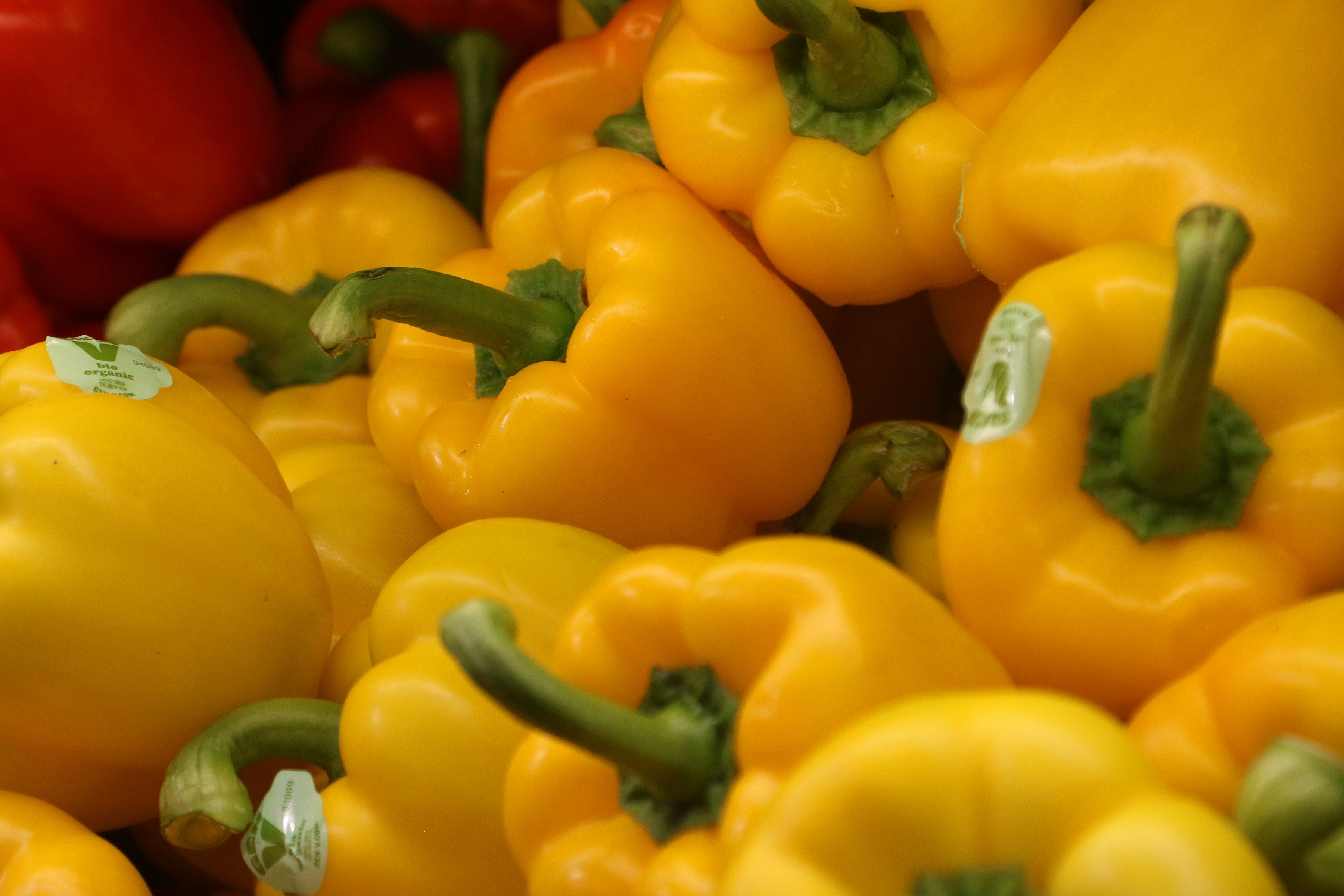 Image of Welcome to the new site