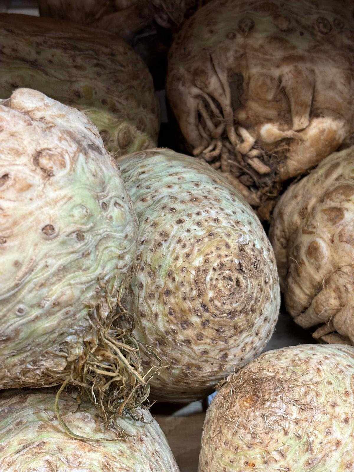 Image of Celeriac