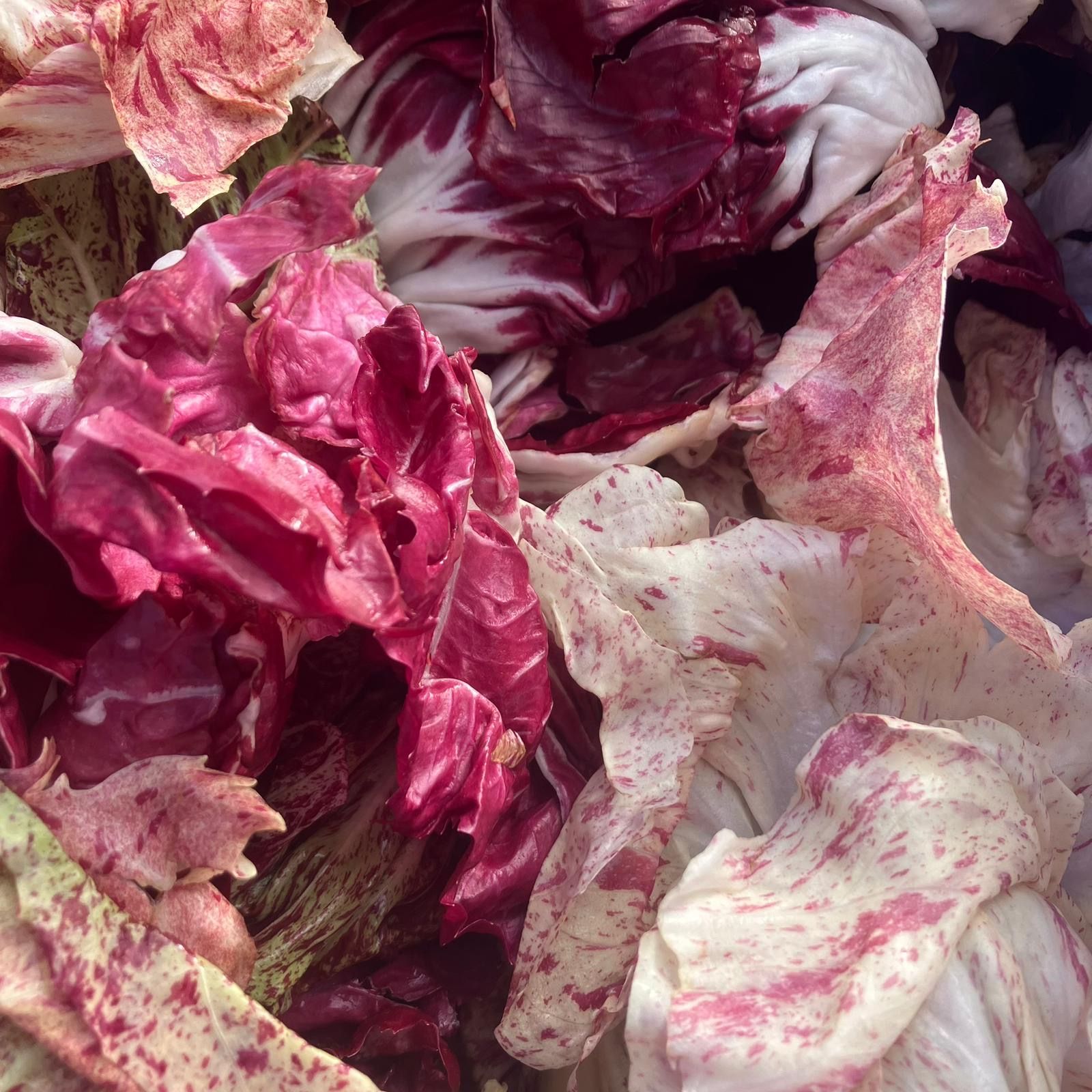 Mixed Radicchio
