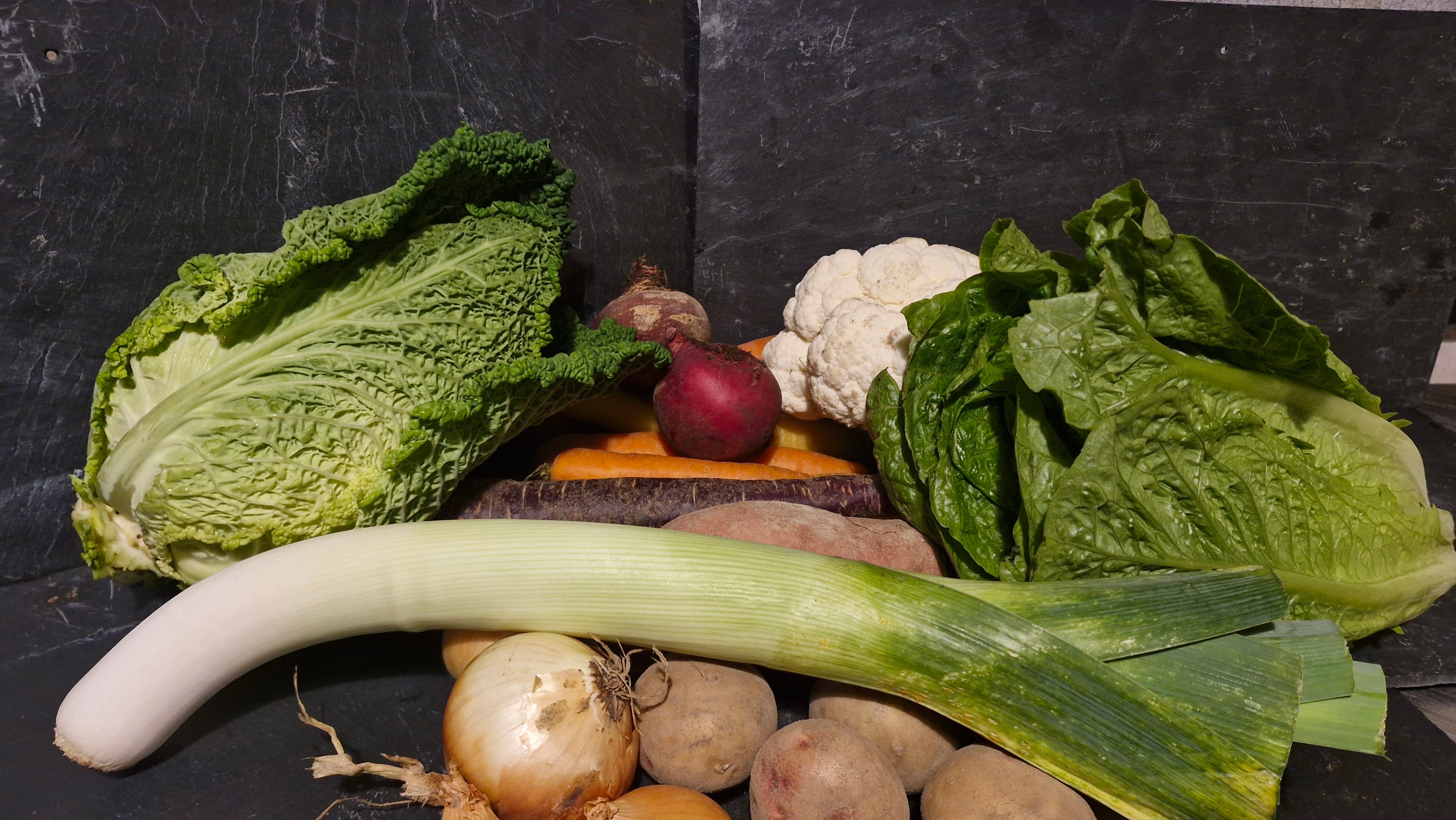Large Veg box 