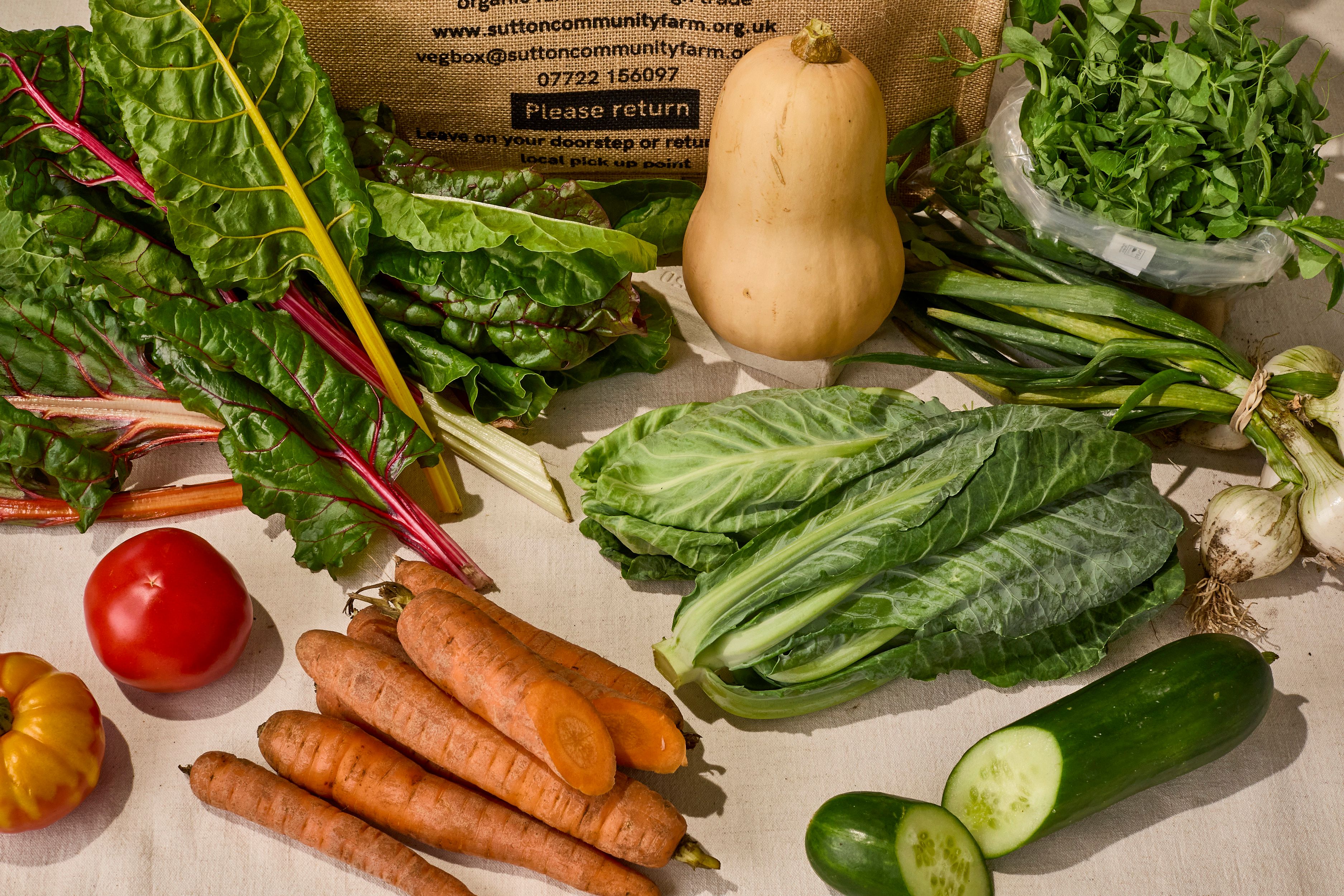 Image of Medium Veg Box (no potatoes)