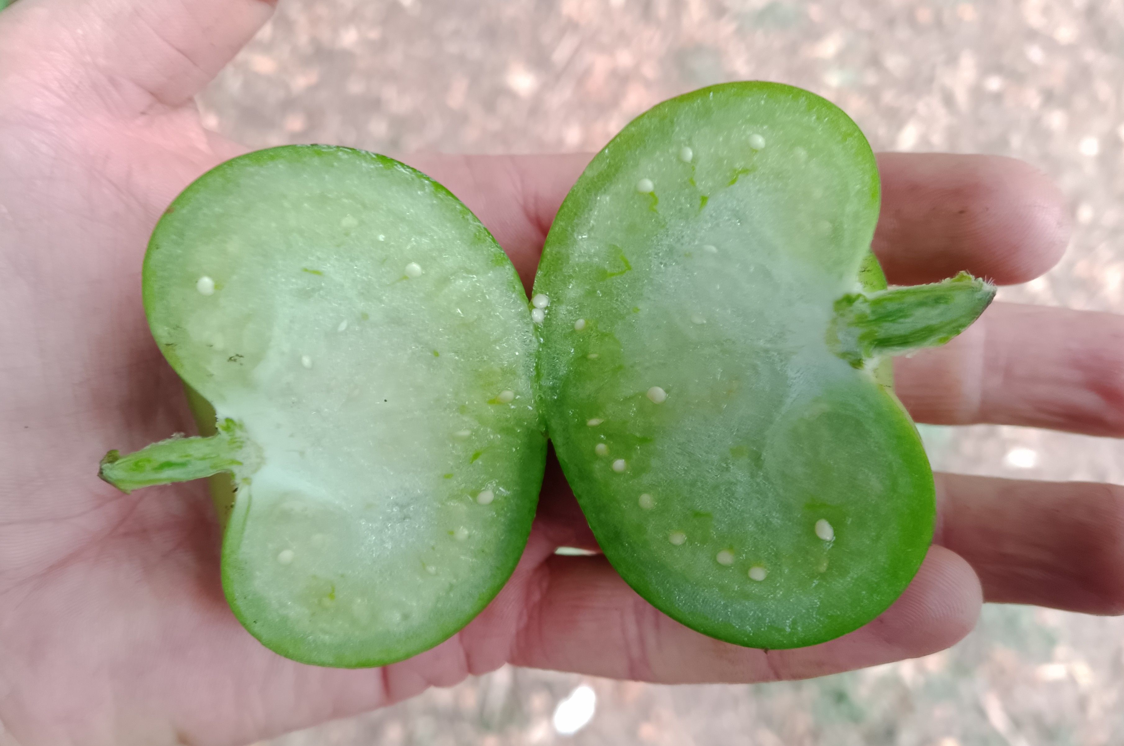 Image of Tomatillos