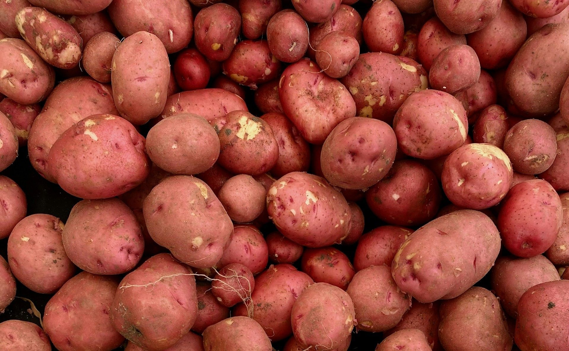 Image of Potatoes - Red Alouette 750g (Blaencamel)