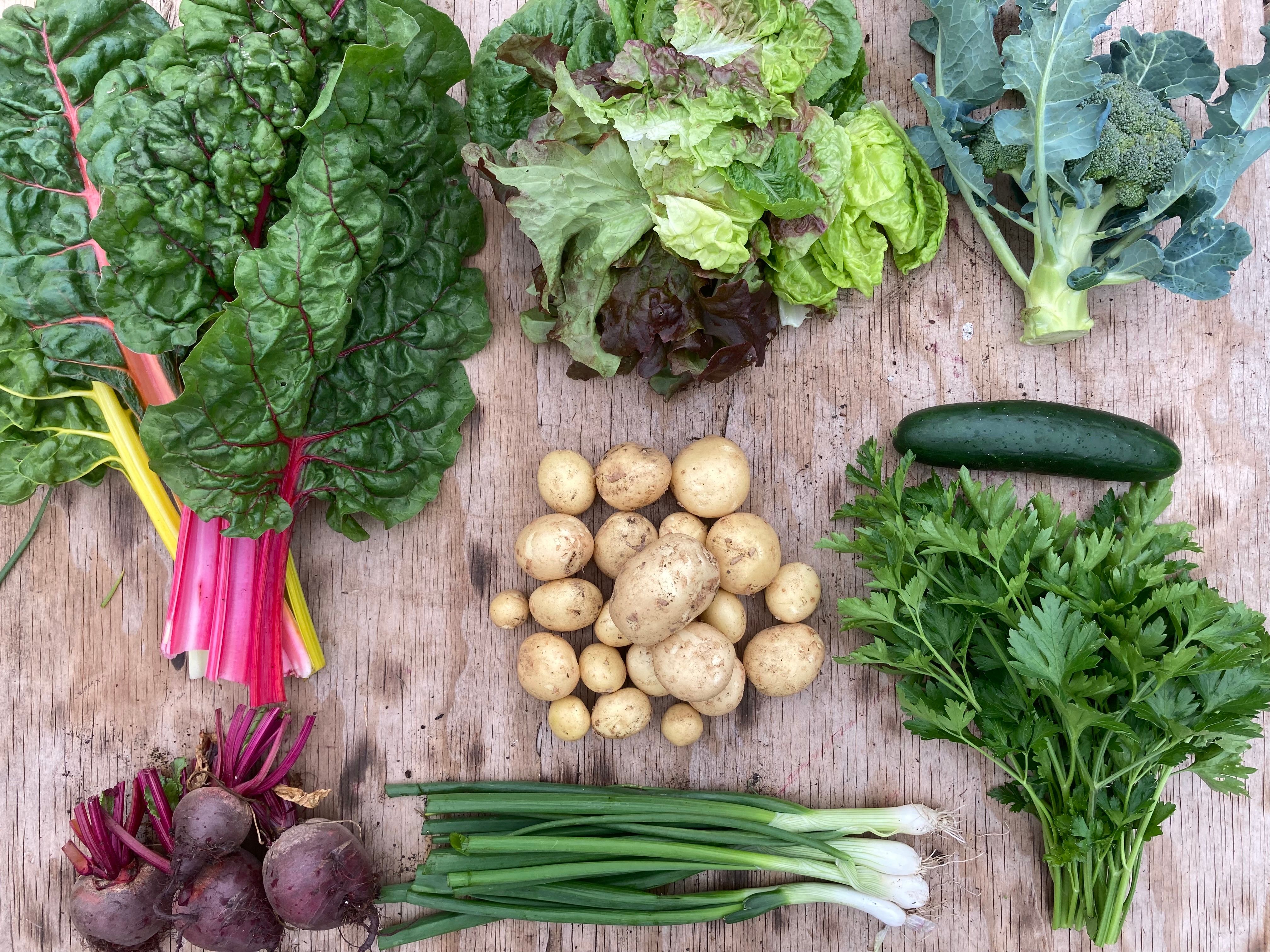 Image of Seasonal Veg Box (1-2 people)