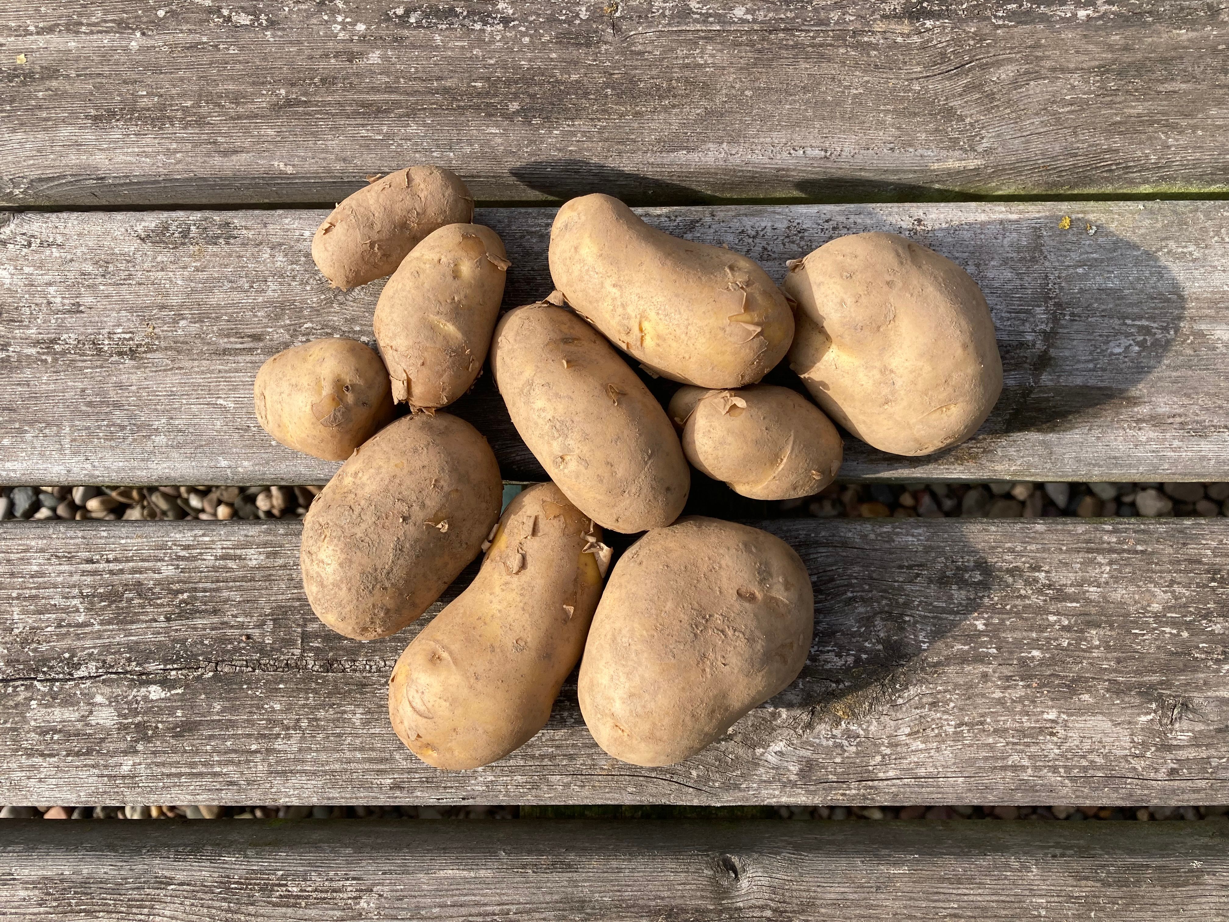 Organic Potatoes
