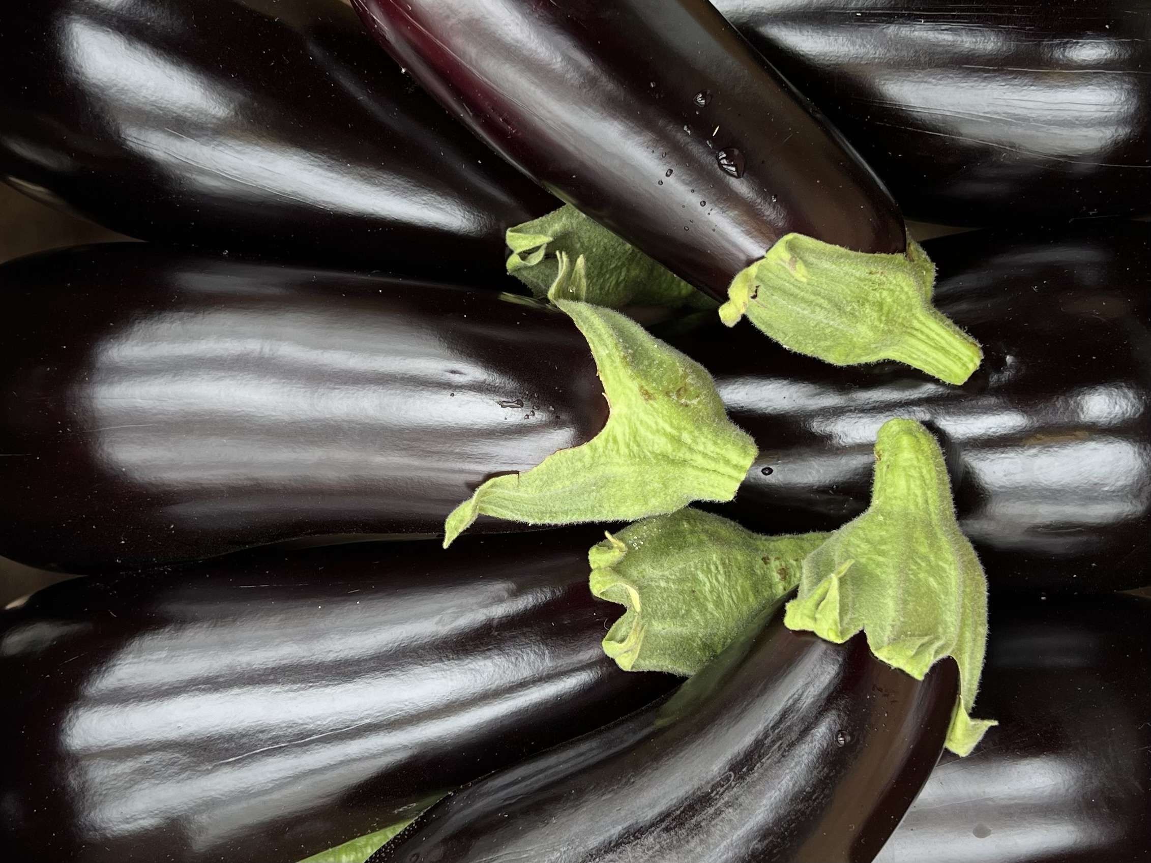 Image of Aubergine