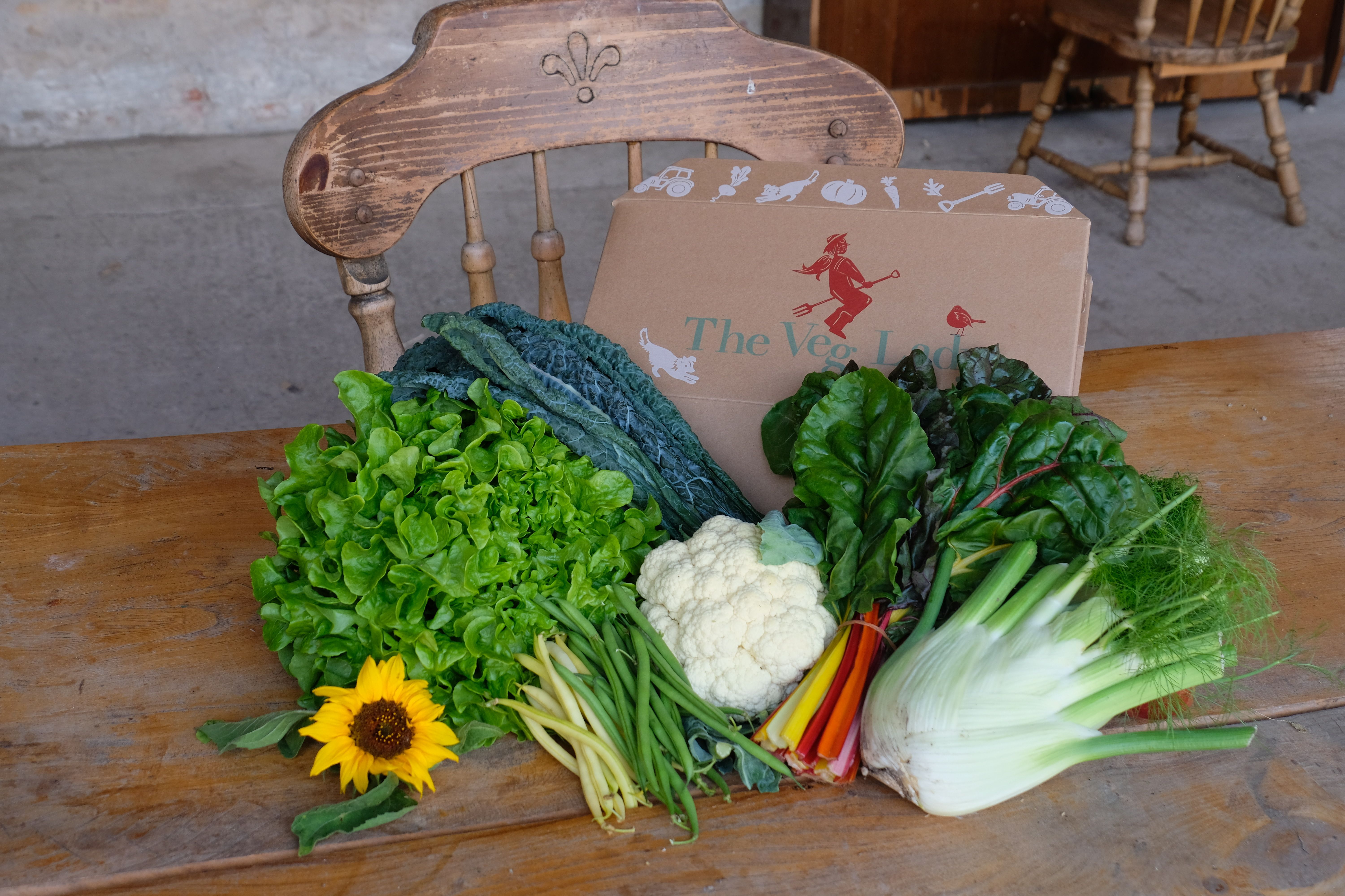 Abundance Box 