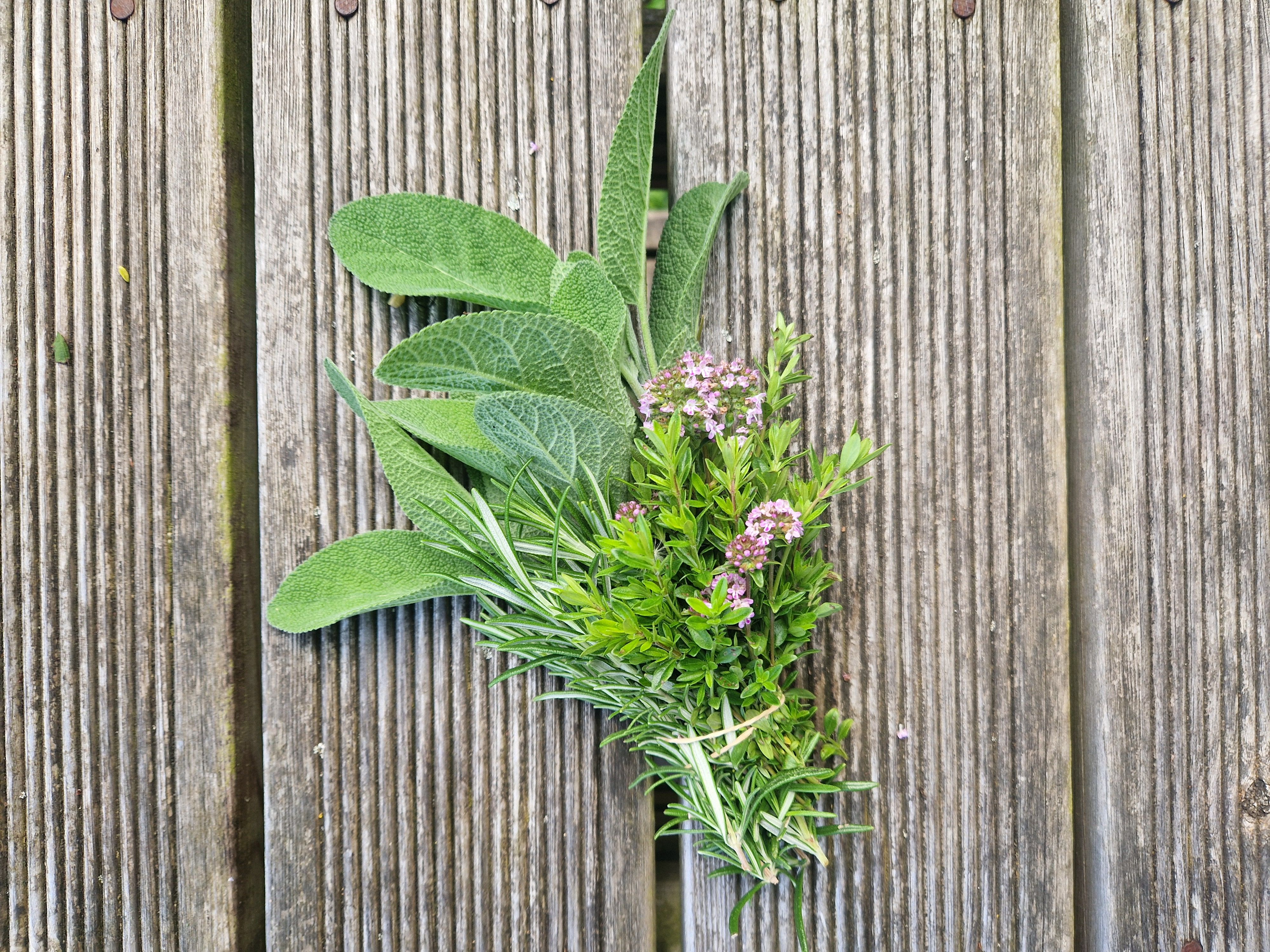 Image of Herbs, Nuts And Spices