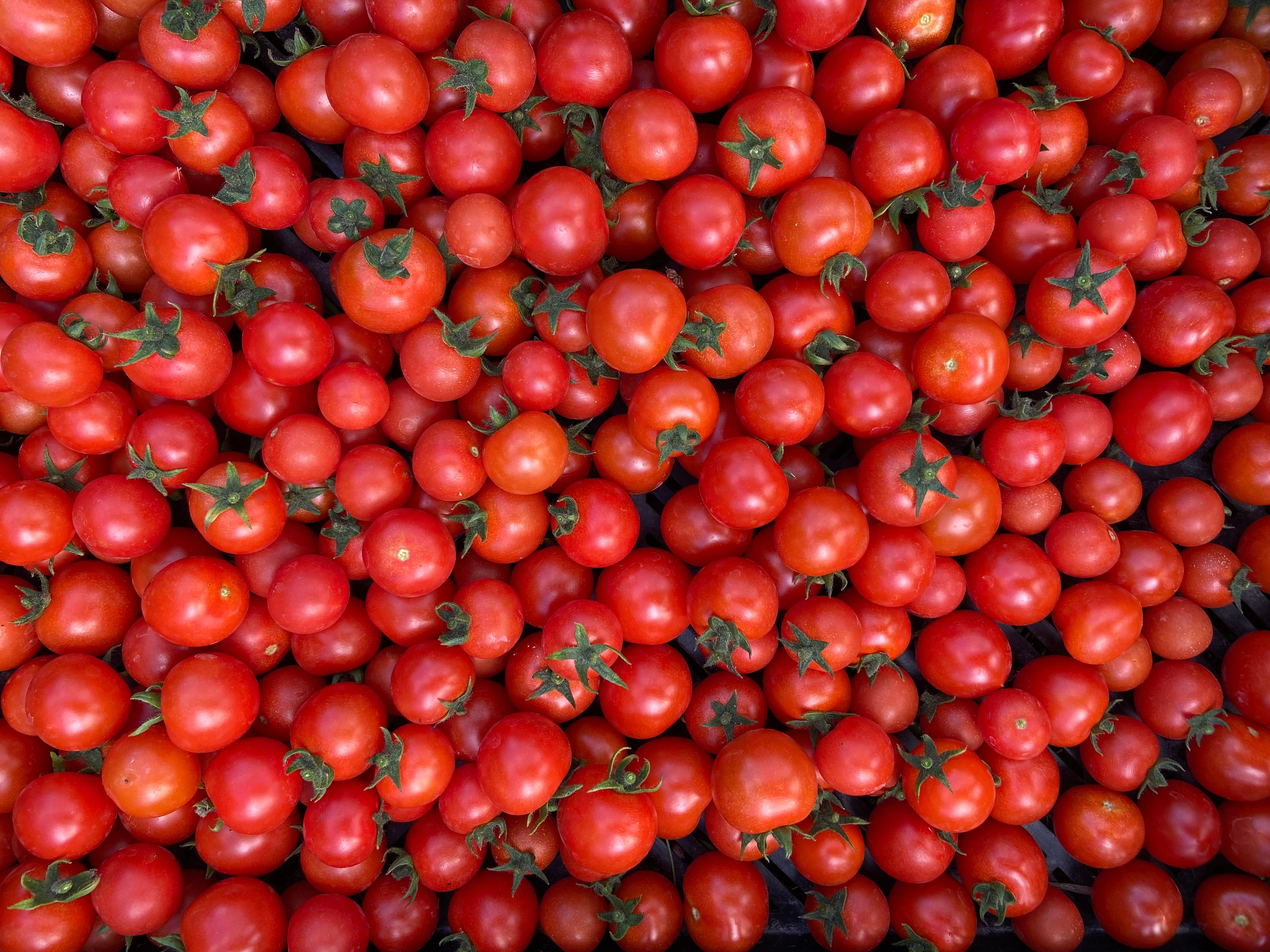 Bulk Cherry Tomato 
