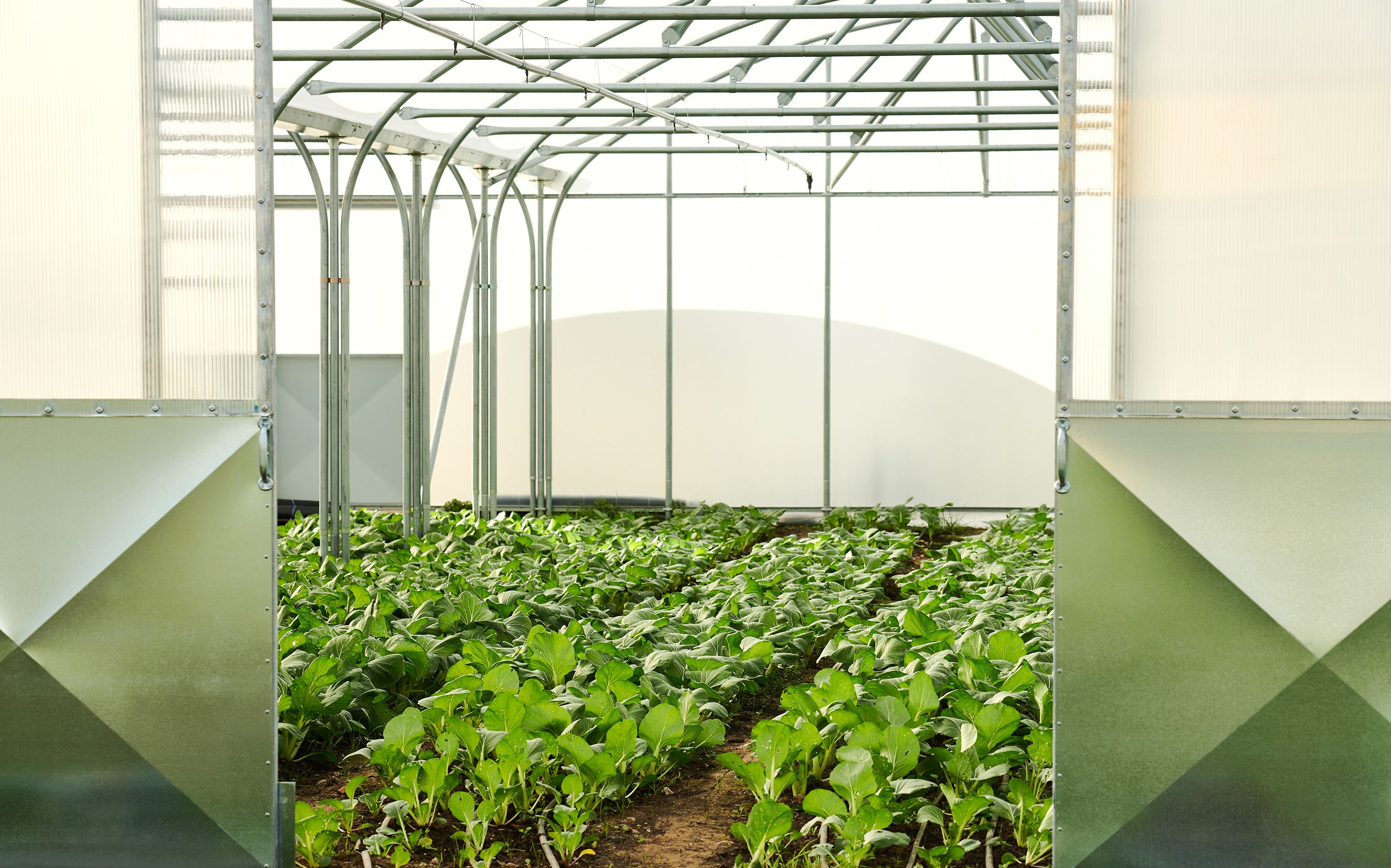 Image of Nurturing the planet