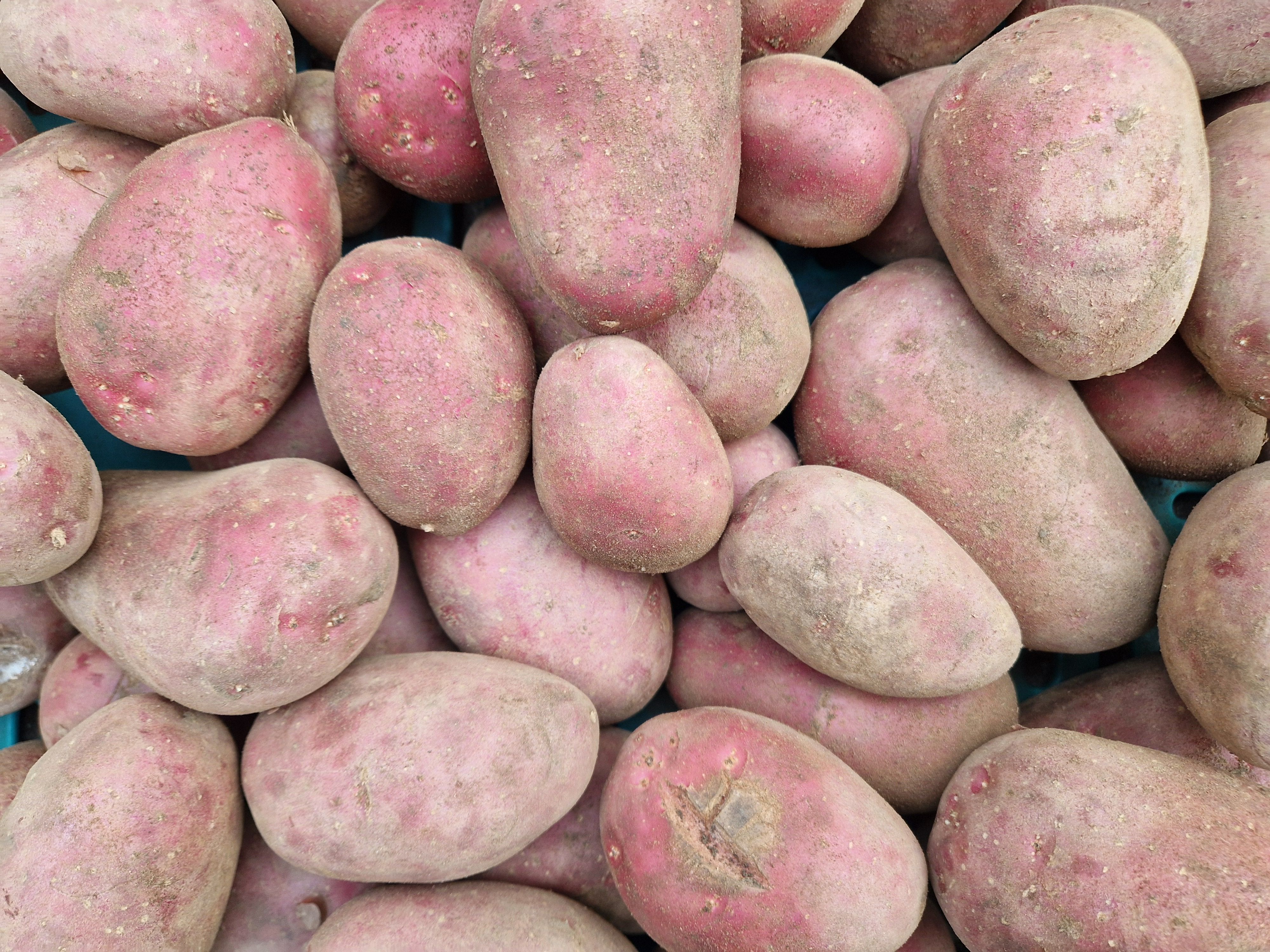 Image of Potatoes