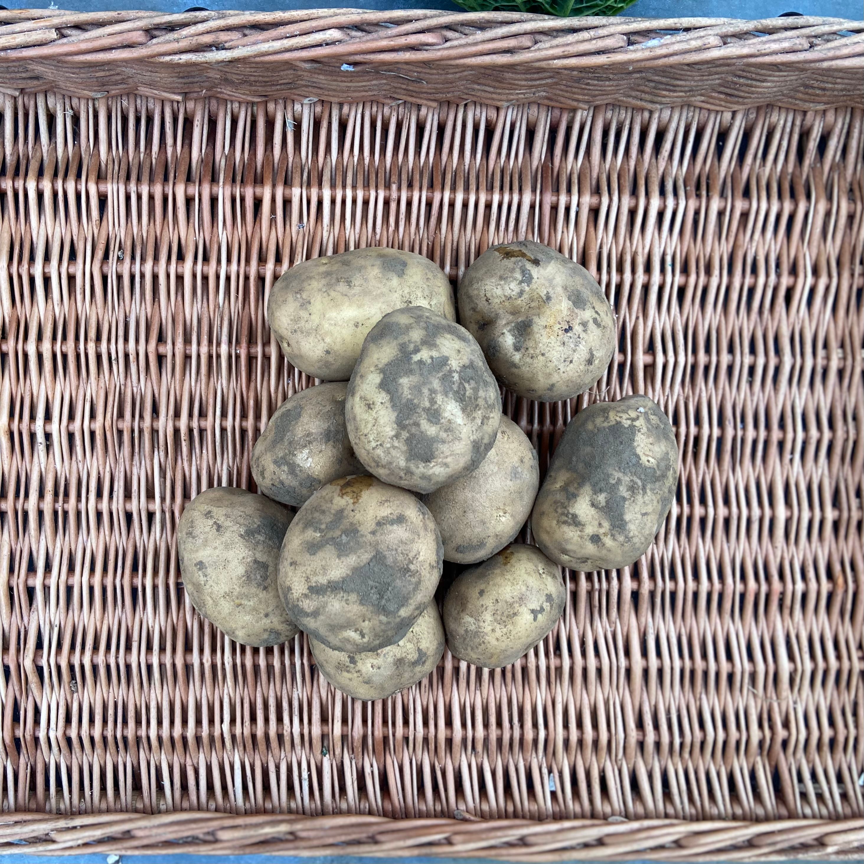 Image of White Potatoes