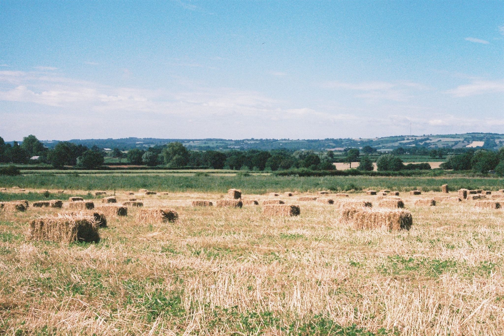 Image of Little Marcle Organic Produce