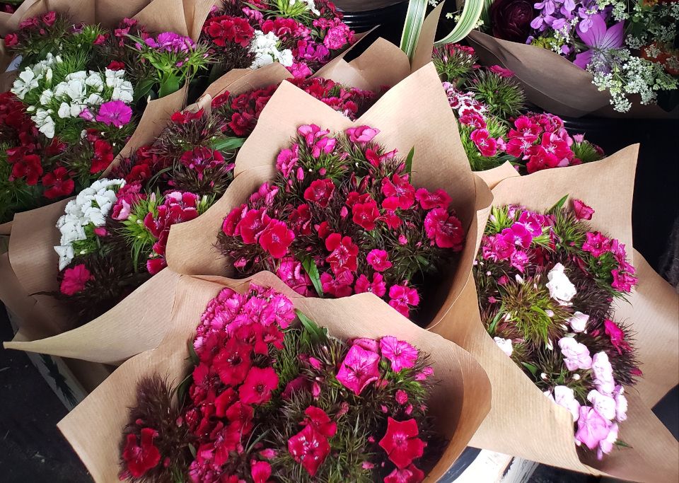 Image of Terms & Conditions