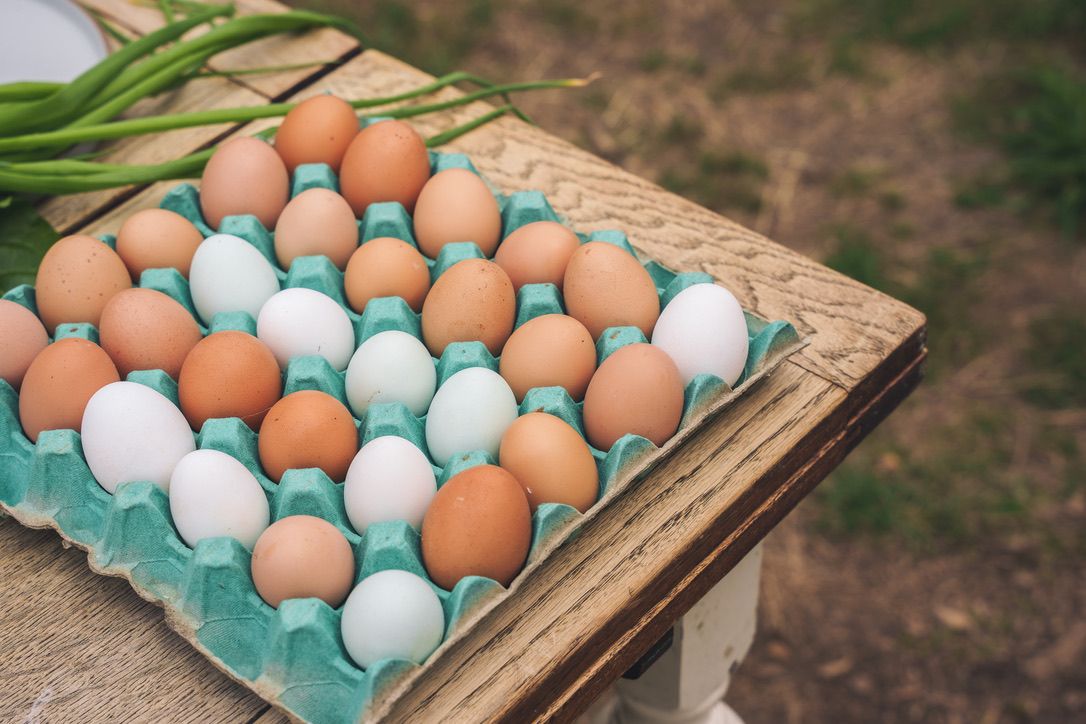 Image of Half-Dozen Eggs