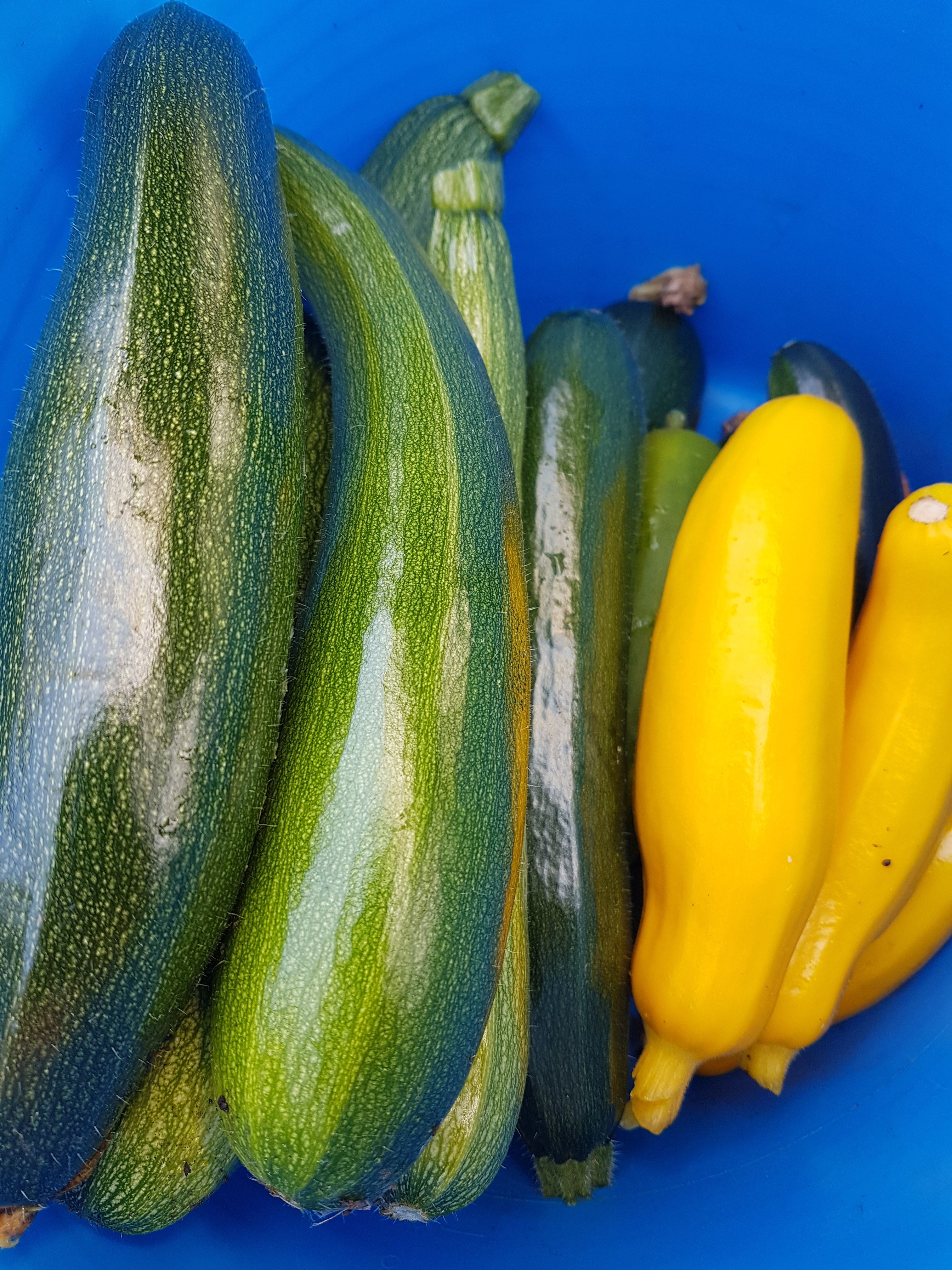 Image of Courgettes
