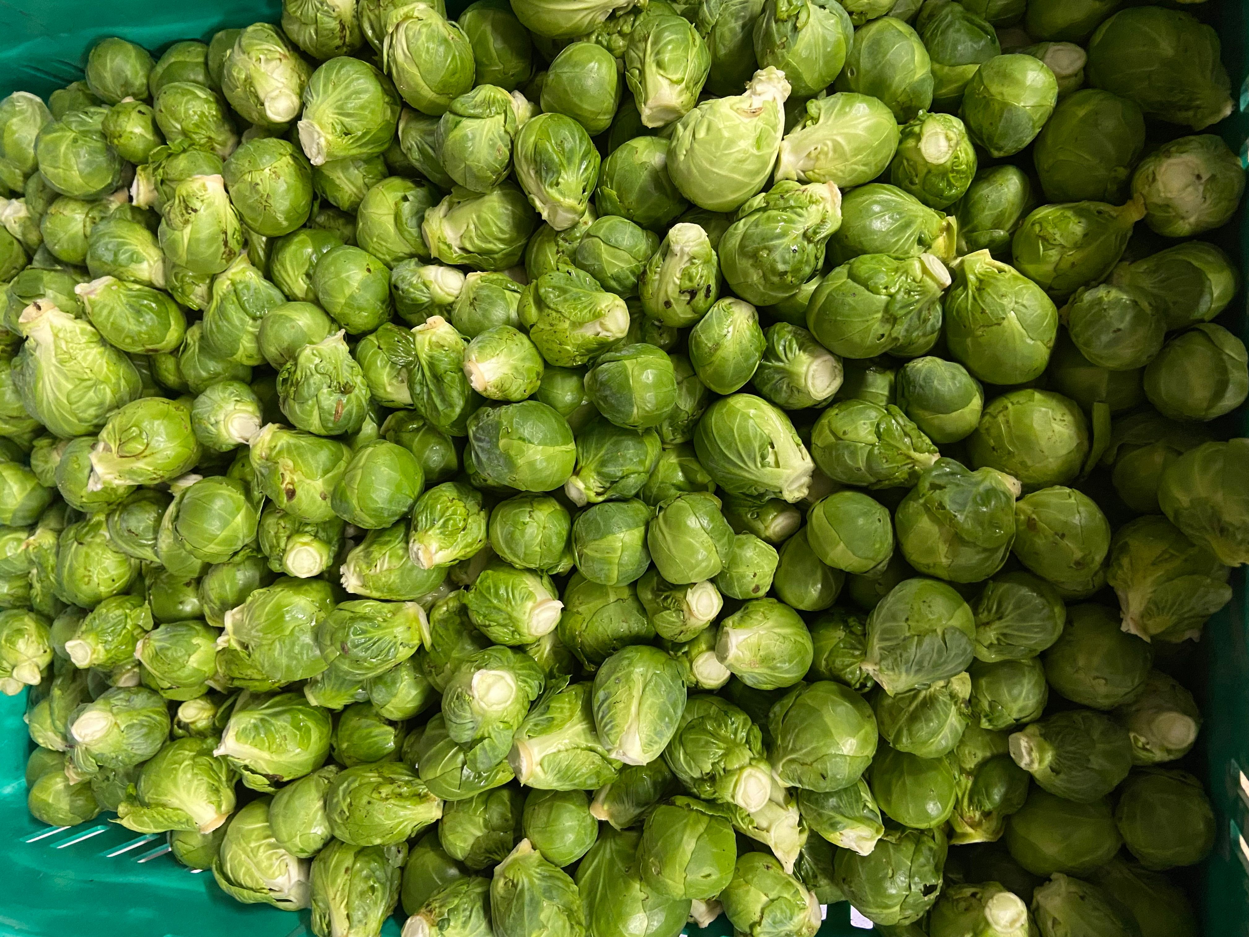 Image of Christmas Veg