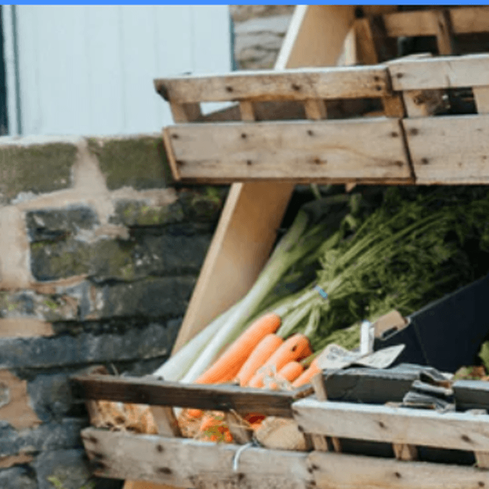 Large, Organic Fresh Veg Box