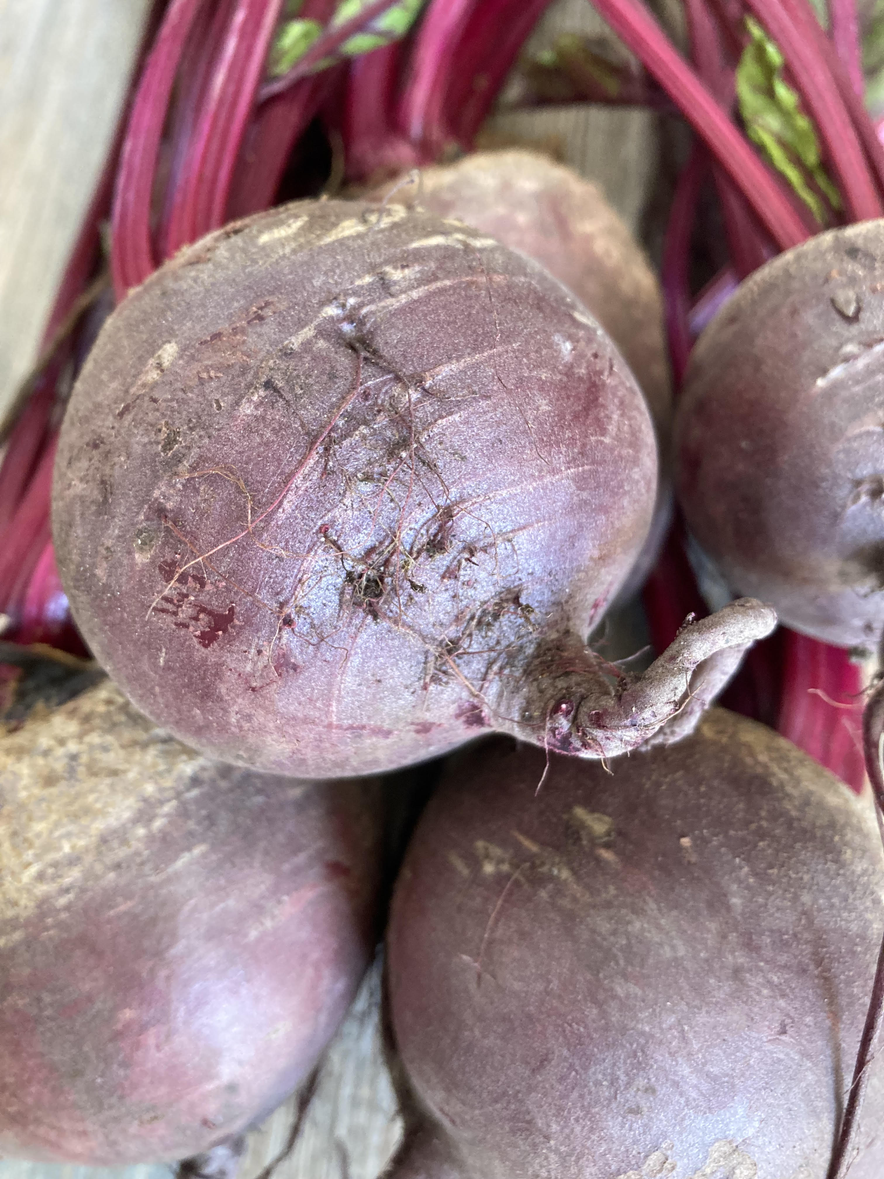 Image of Beetroot Hummus