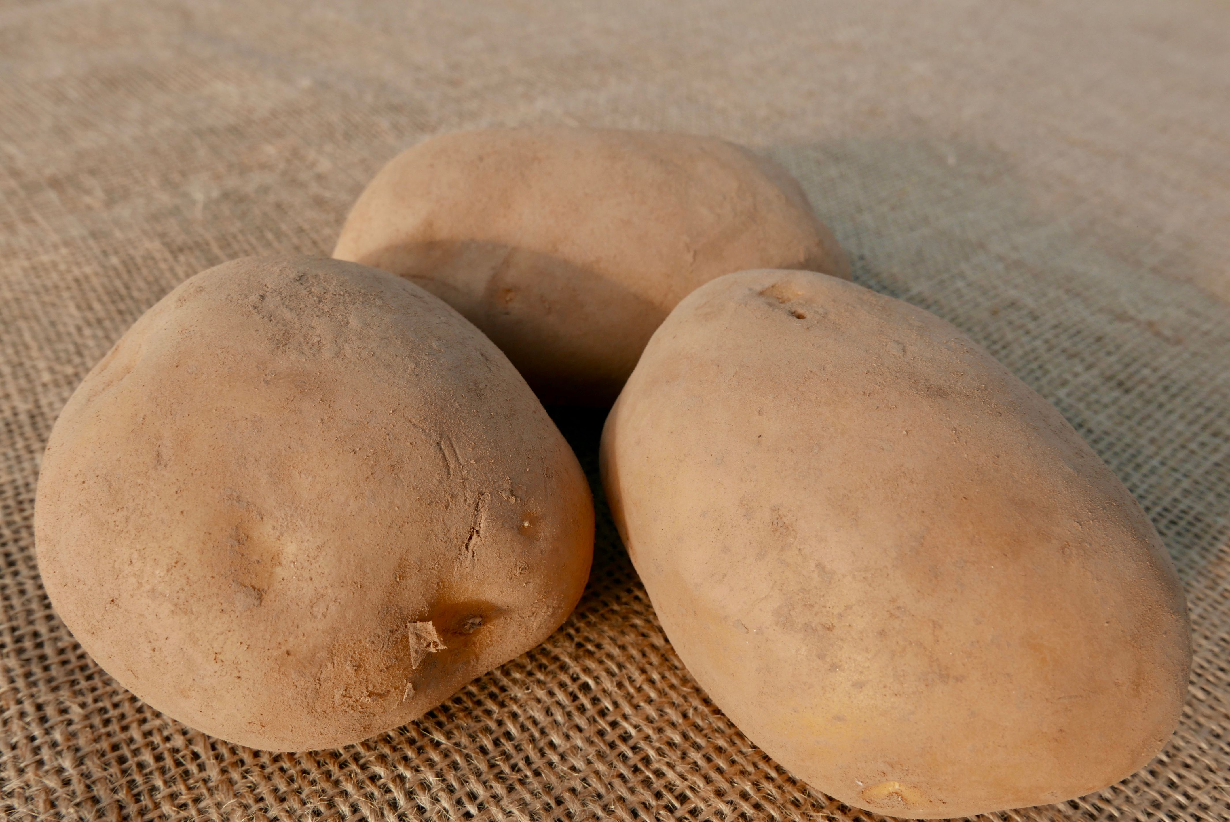 Image of Baking Potatoes