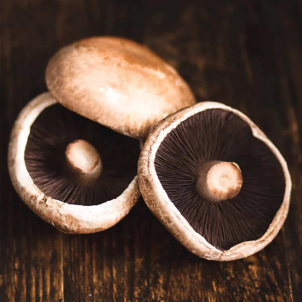 Portobello Mushrooms