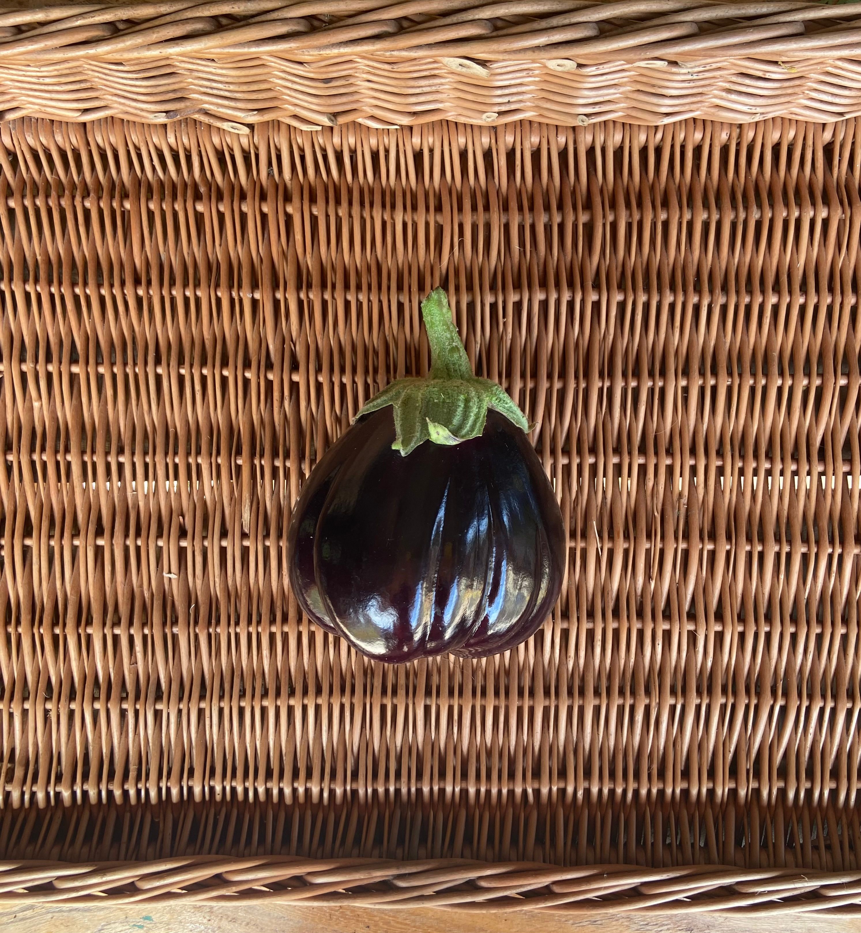 Image of Aubergine